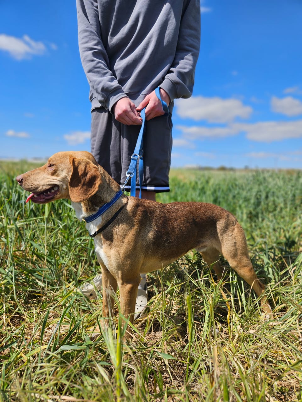 621805414_901070209102824_1016894674354754708_n