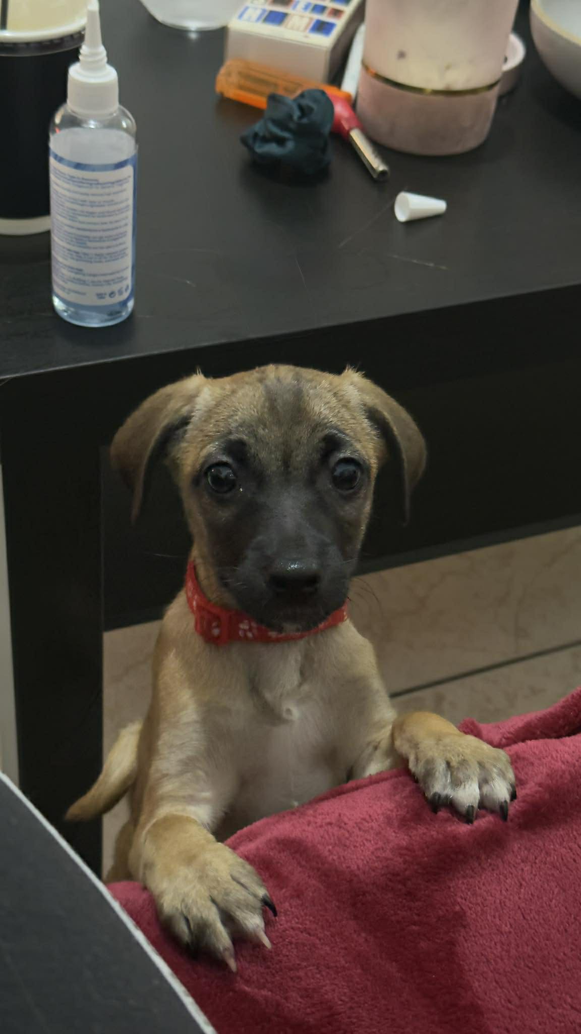 621916395_972008648482937_7461732301283164928_n