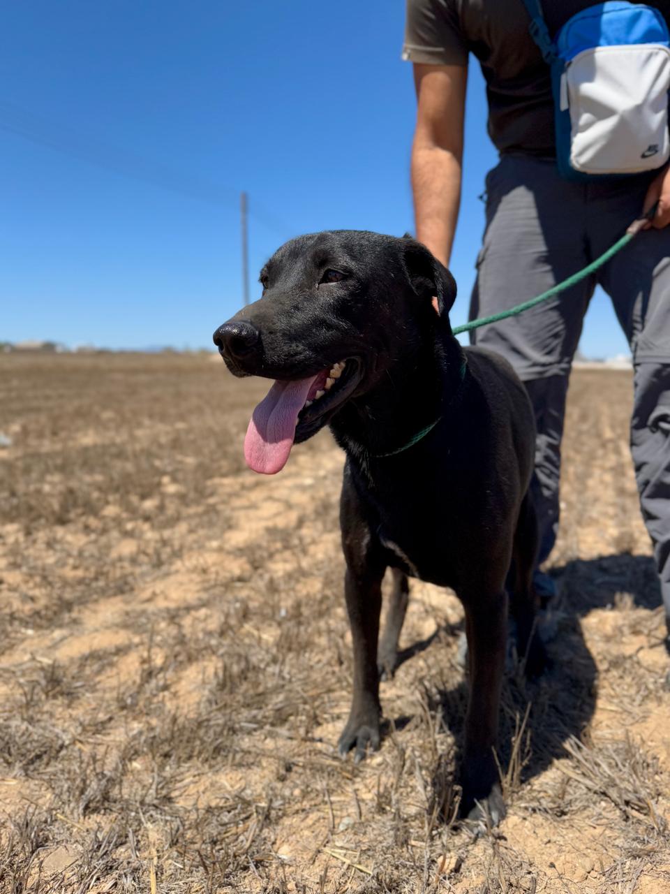 622282432_901471059062739_8001664150950871908_n