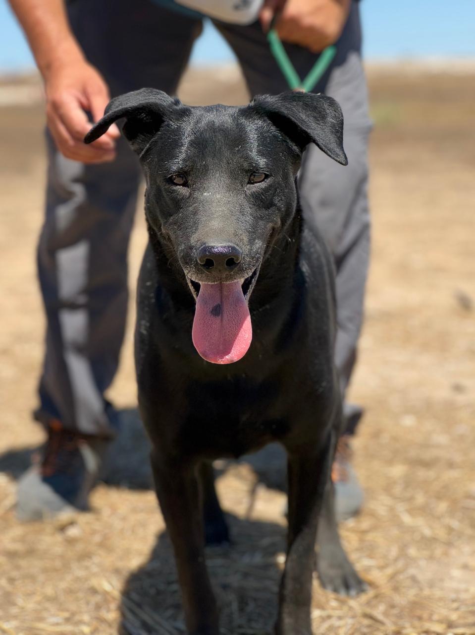 622343611_901471335729378_3950743975860771511_n