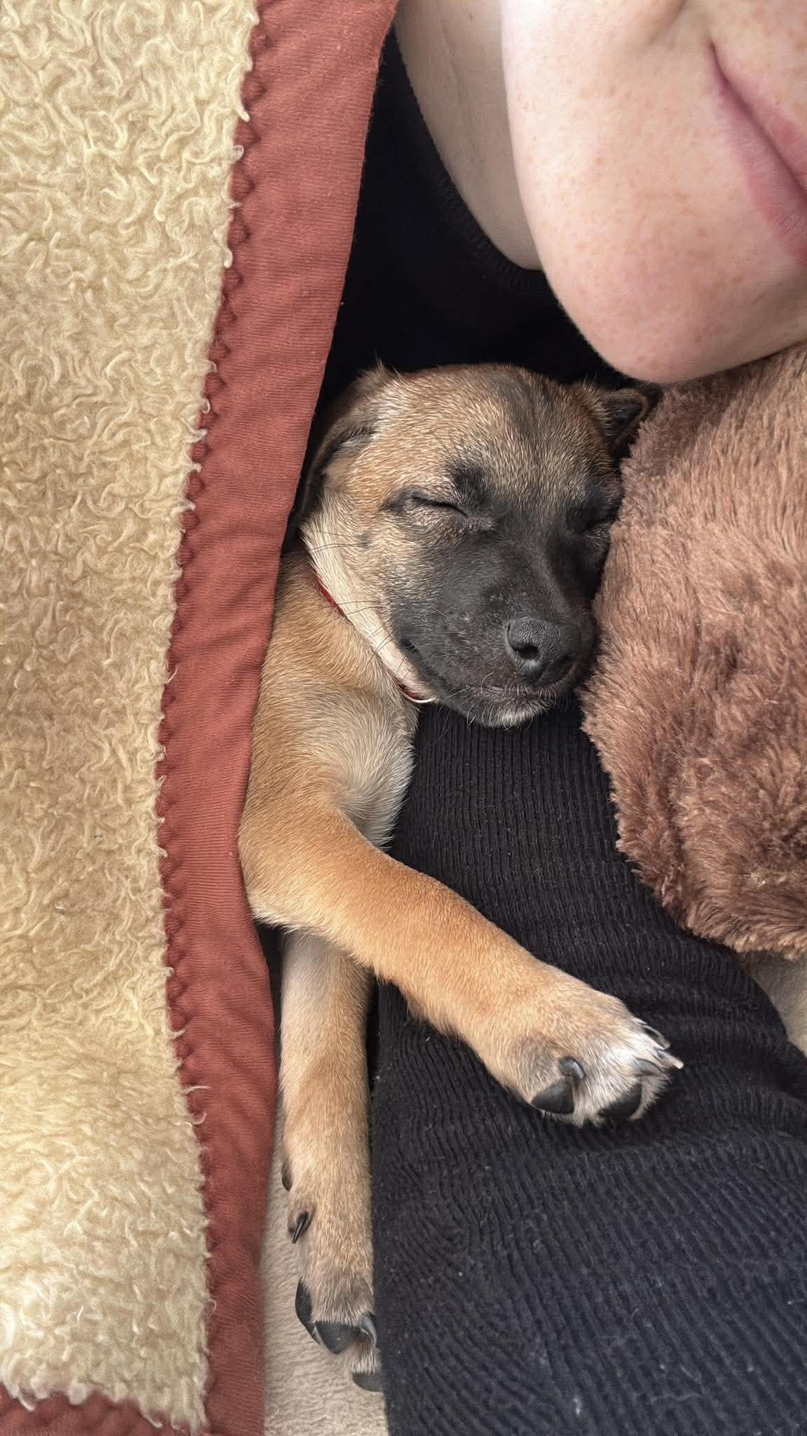 622352912_972008741816261_2432147296142216061_n