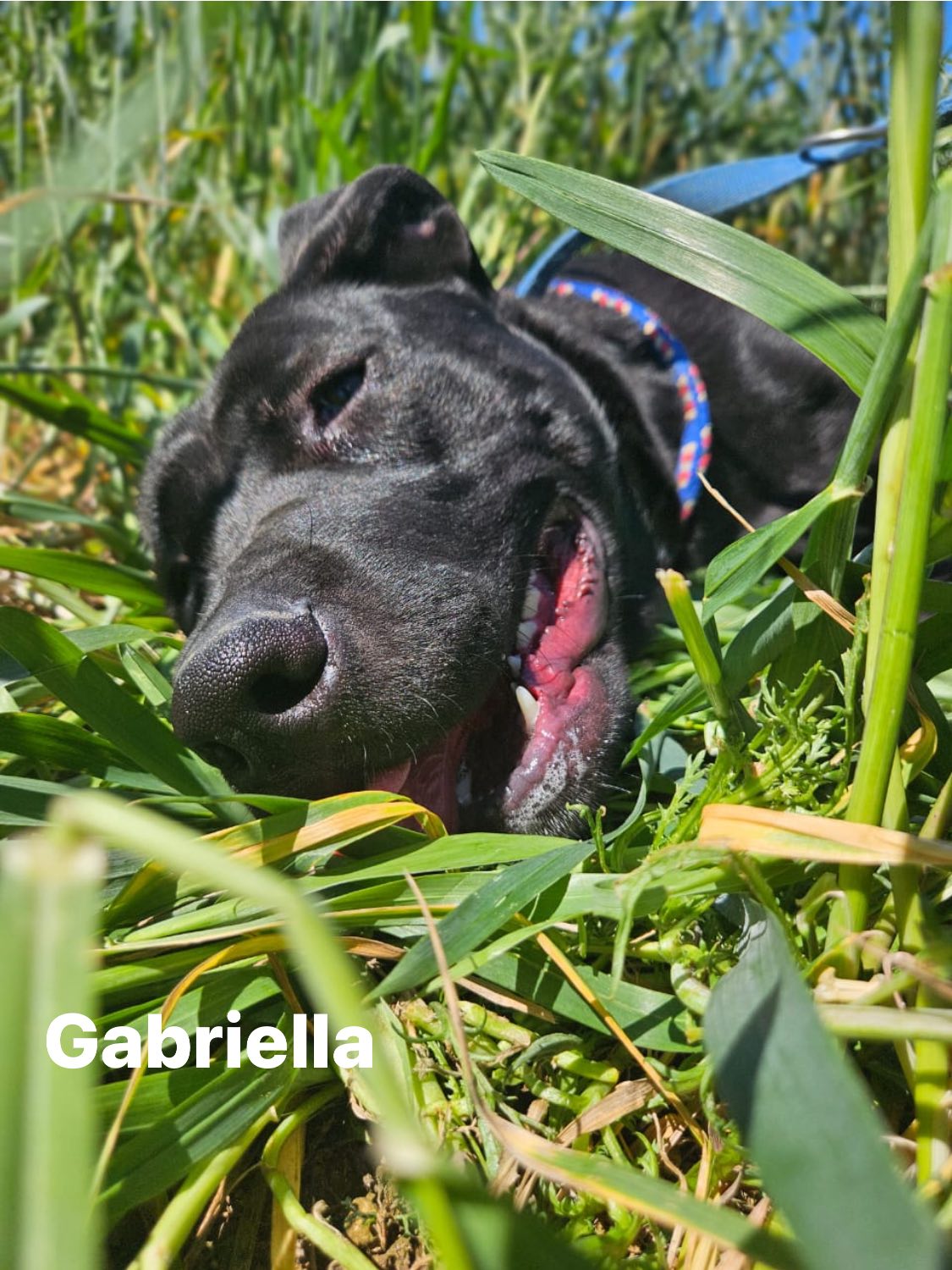 622368079_901968552346323_6497480032295532071_n