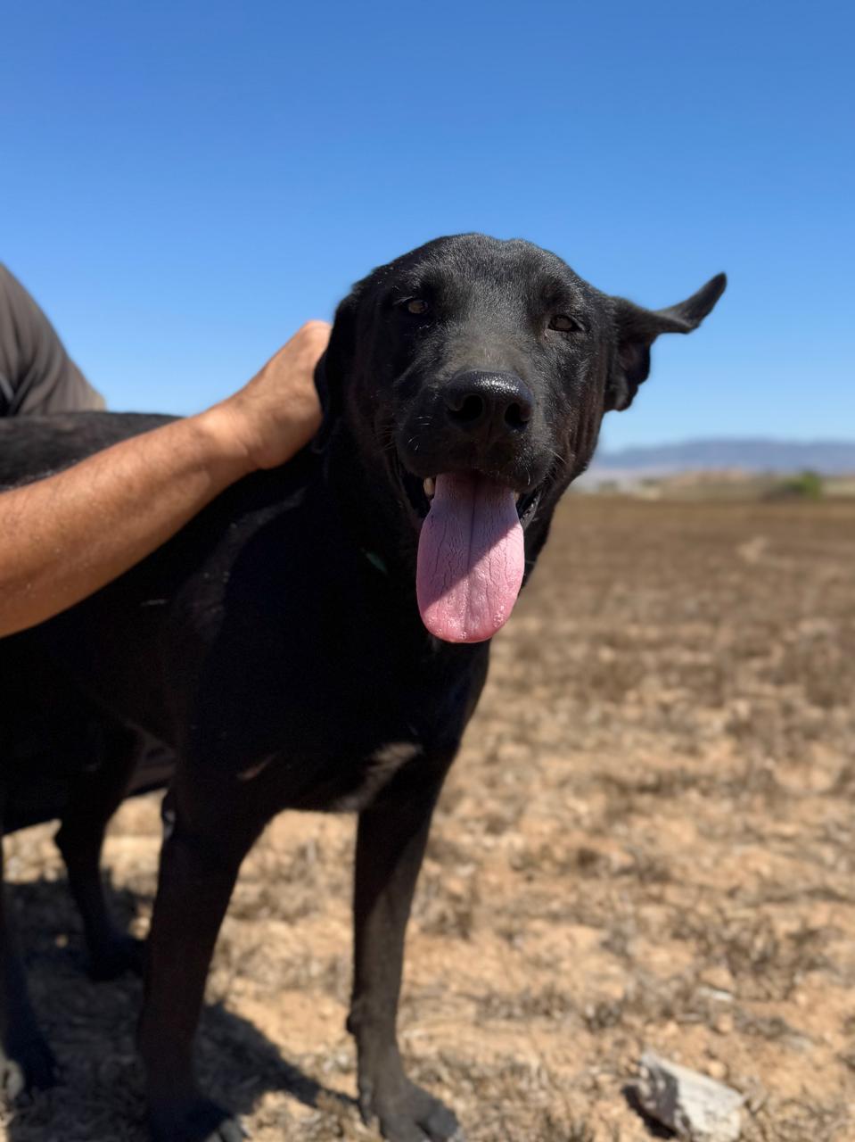 622393171_901471052396073_8238574279722544023_n