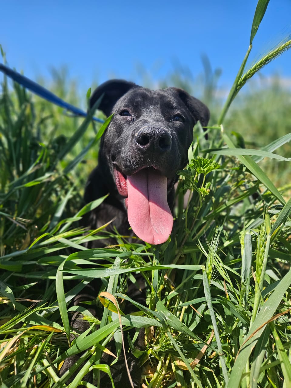 623024043_901968155679696_6814697603789268046_n