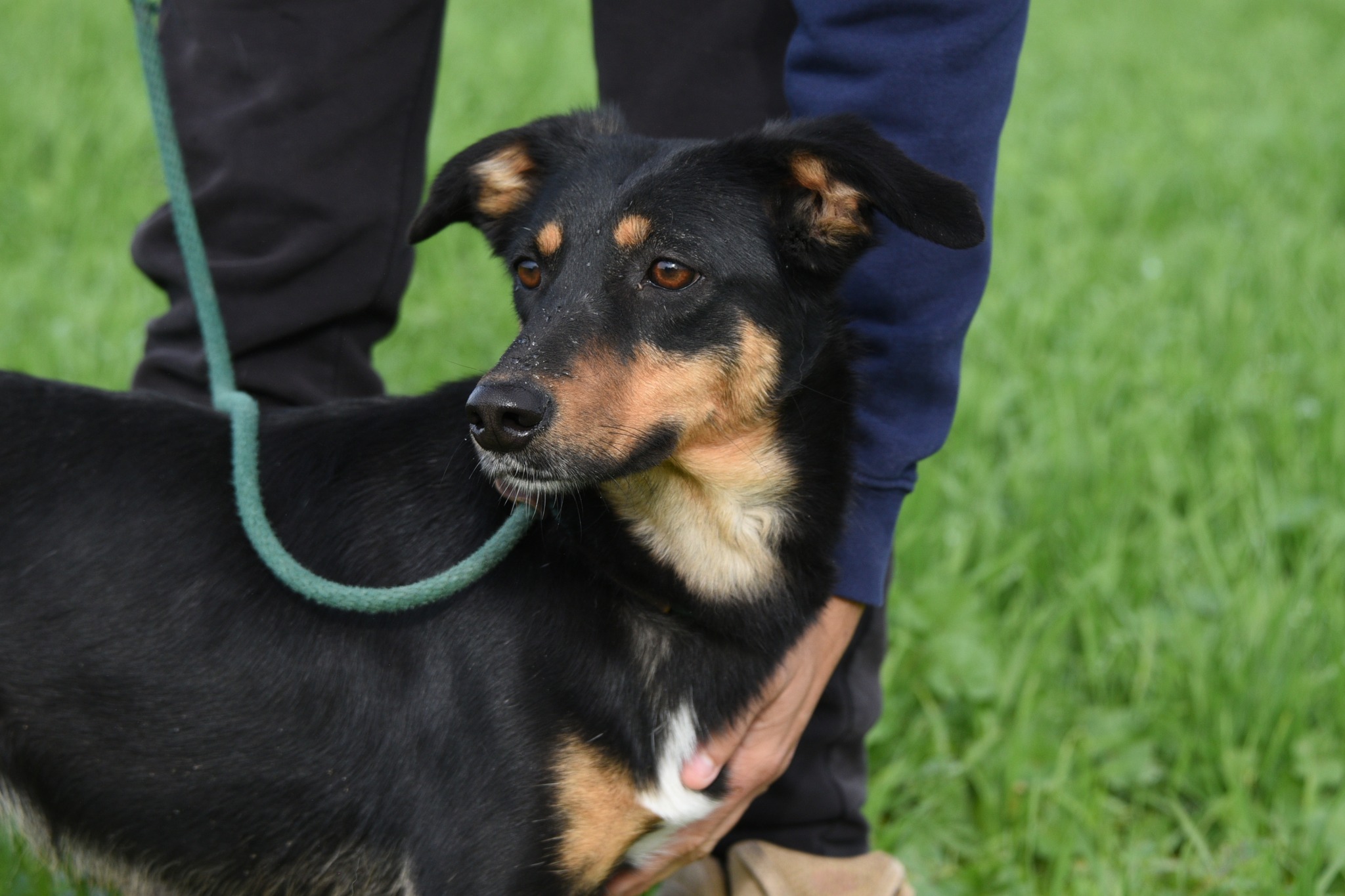 623163108_902712738938571_8456122104718187817_n-1