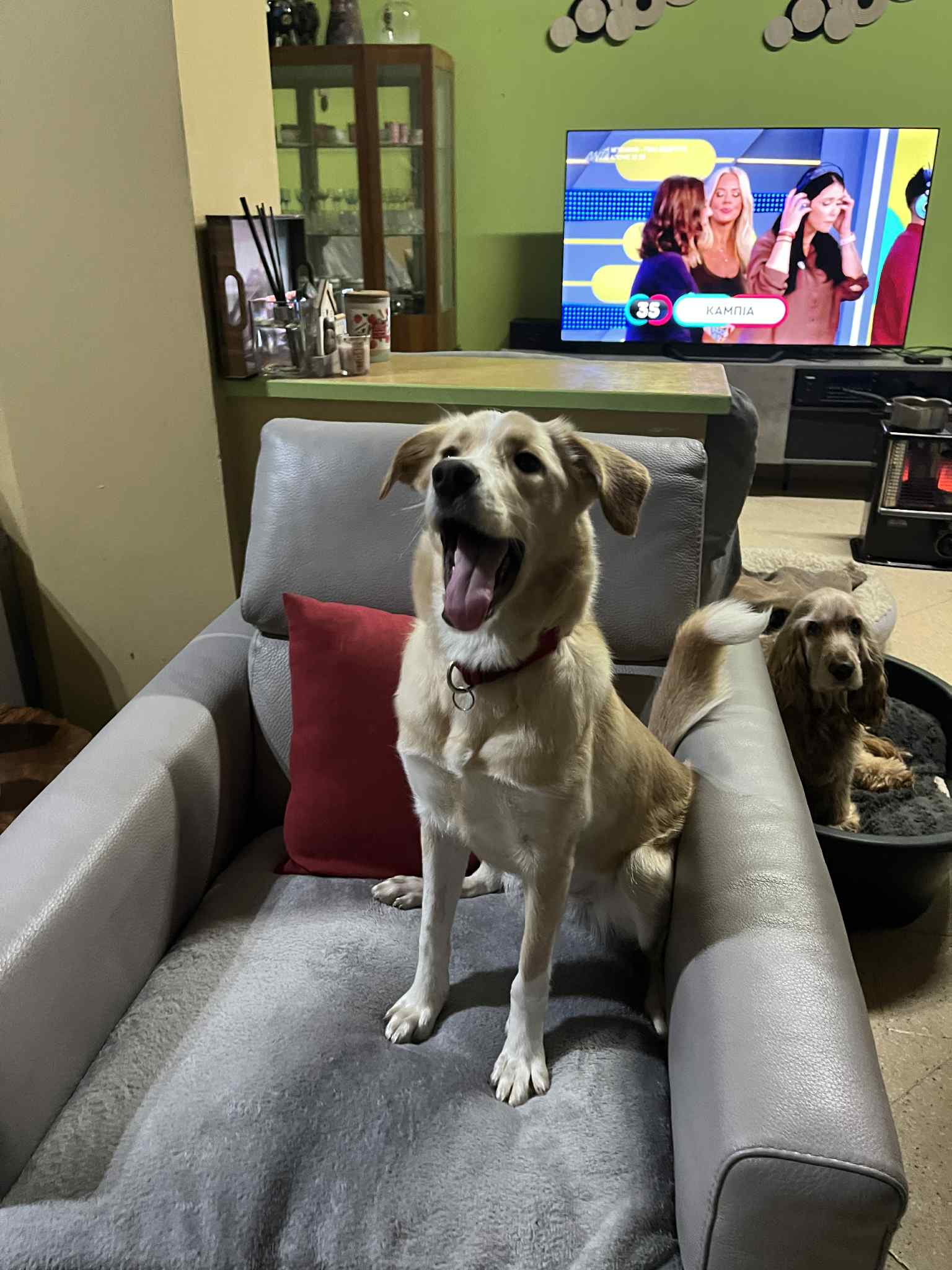 623190601_902868422256336_9141256467244113956_n