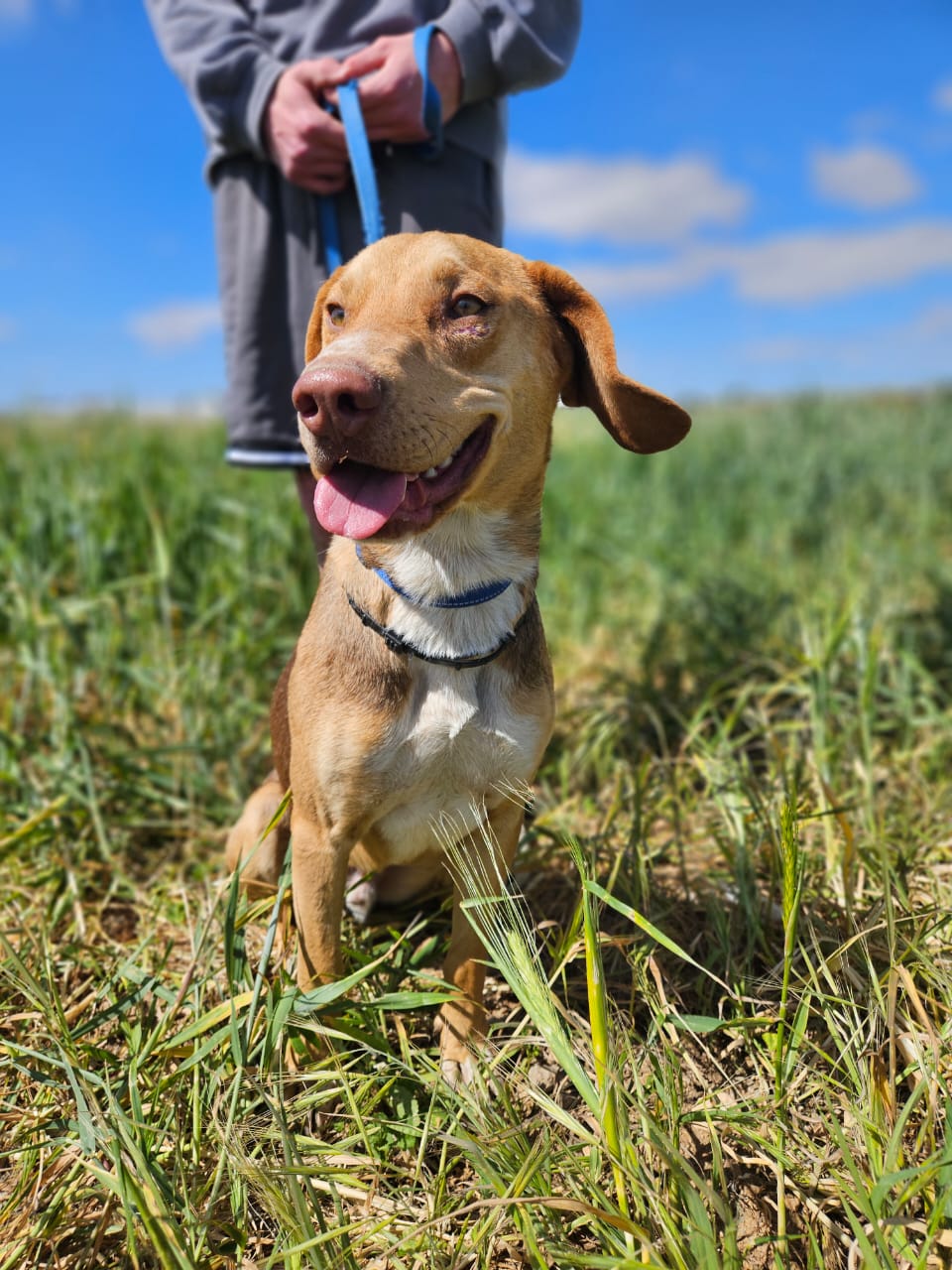 623255537_901070109102834_2502406354064860525_n