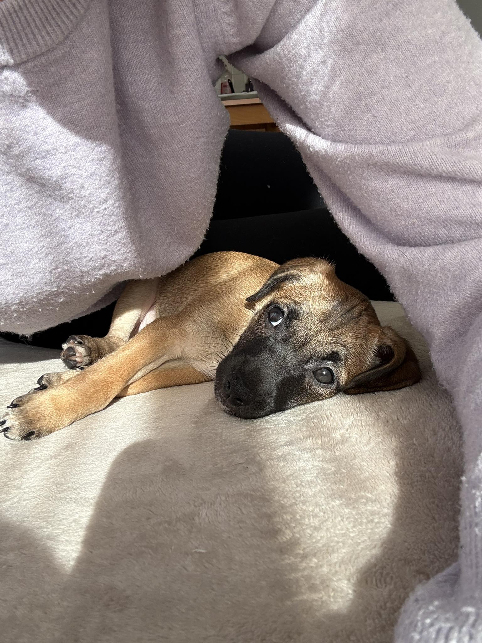 623393850_972008535149615_3073257924384651109_n