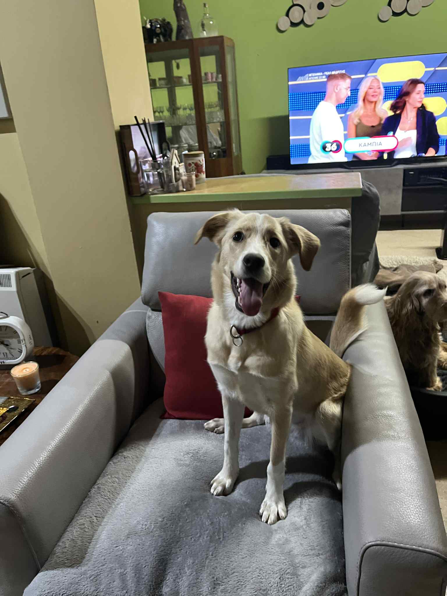 623468268_902868425589669_1381826406382252459_n