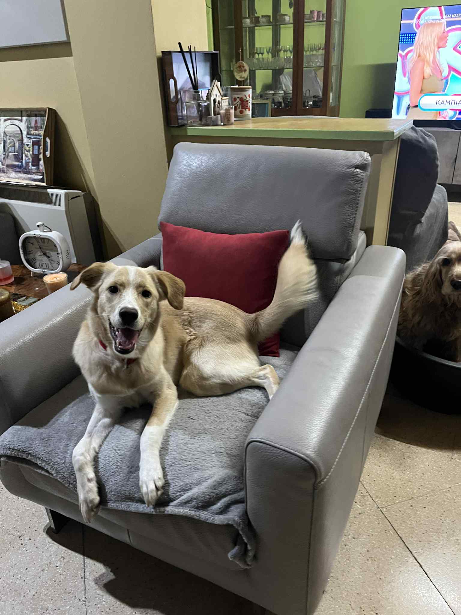 623503777_902868428923002_8758711172902841577_n