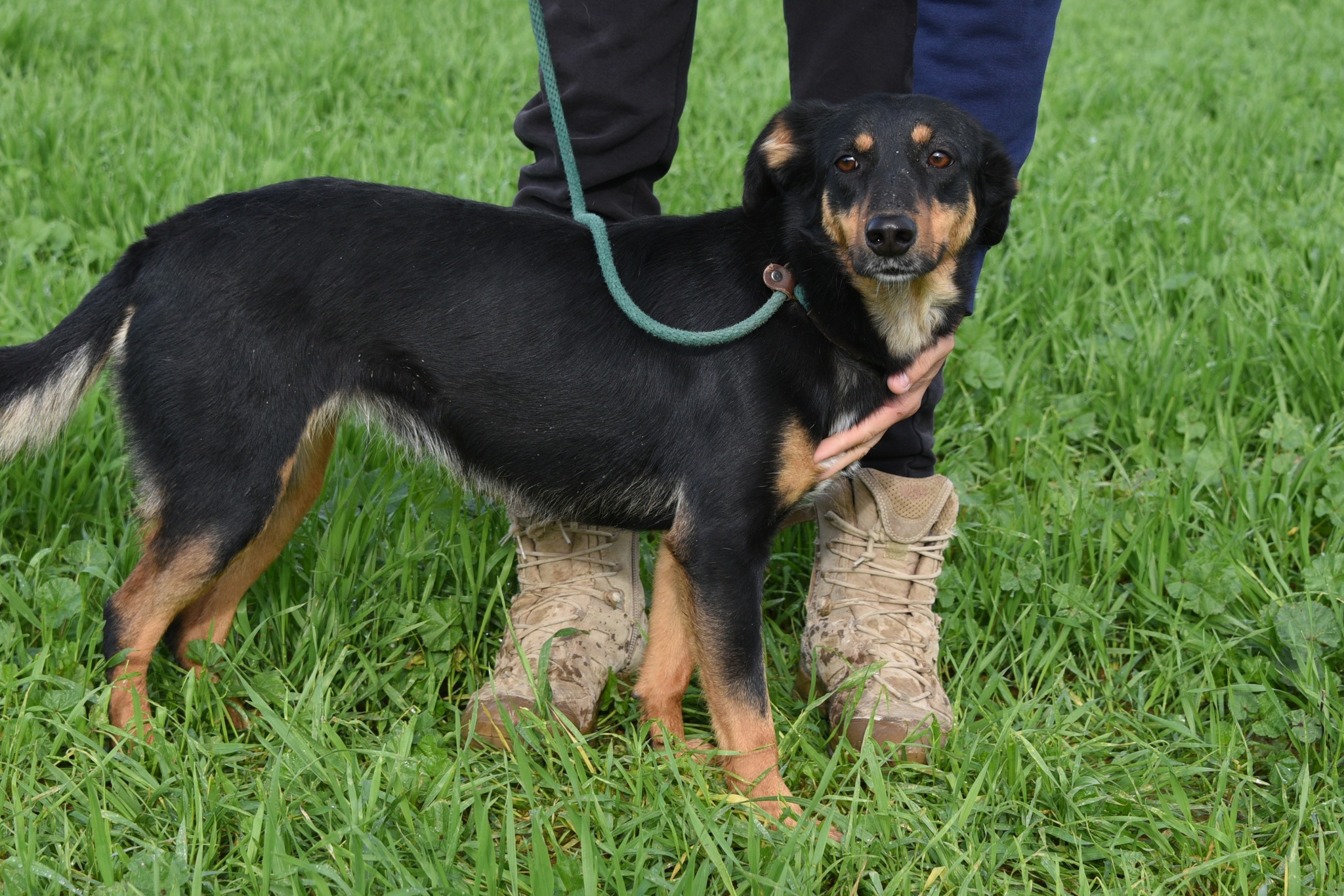 623880943_902713335605178_6016491708157780798_n