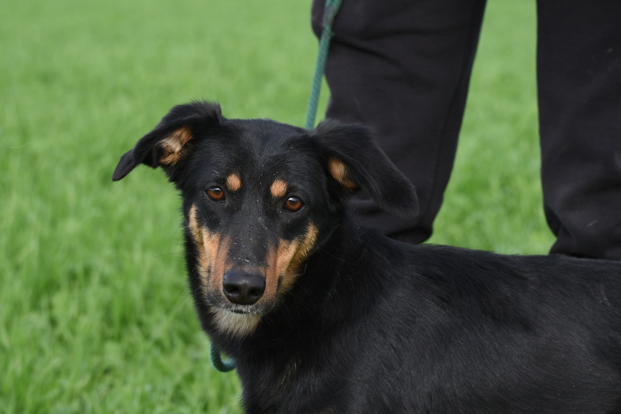 623998073_902713618938483_8601341819660647186_n