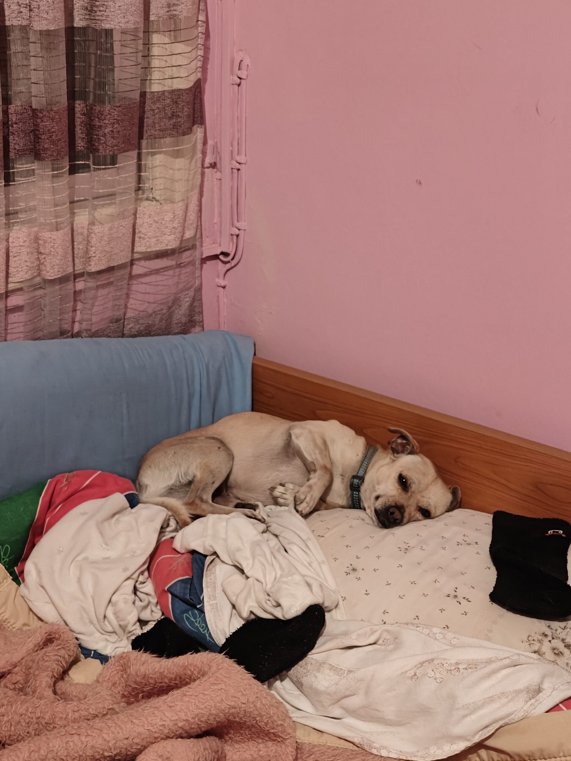 9d8a9f86-7439-4077-9e43-8dc0f34023a8-1_all_130045