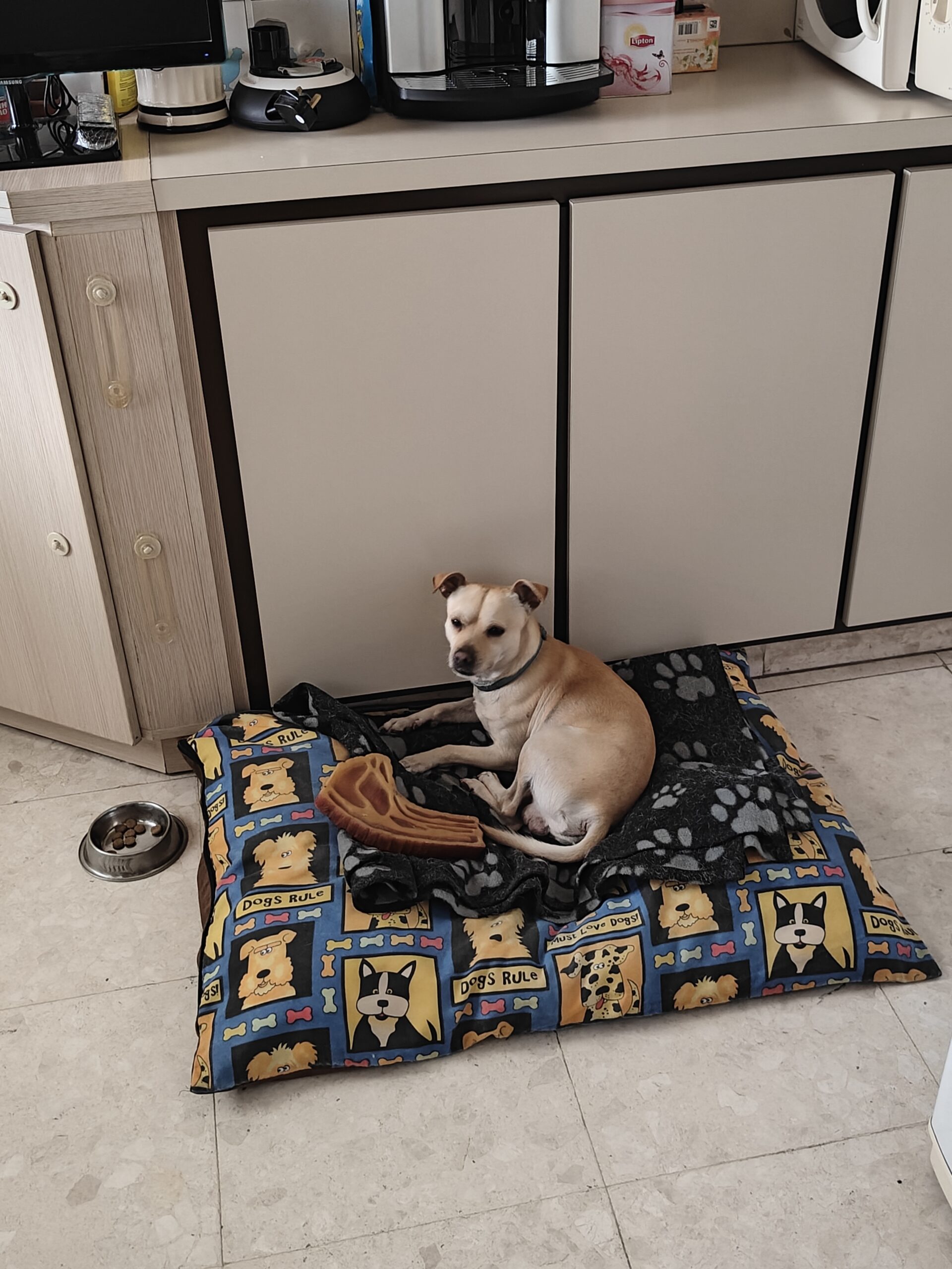 9d8a9f86-7439-4077-9e43-8dc0f34023a8-1_all_130123