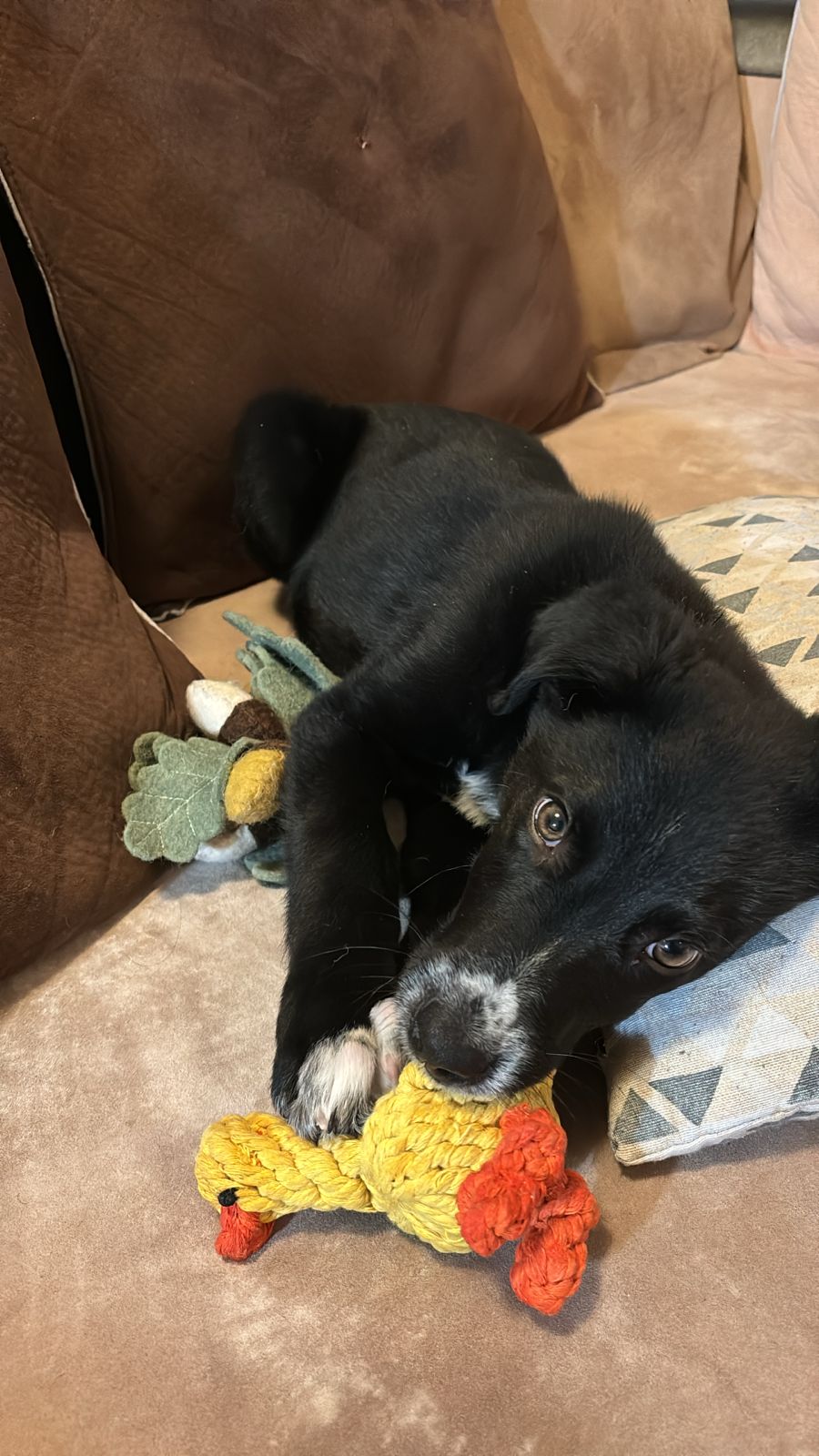 9e7ca70e-a59a-4ee4-bab3-3eec2dbe3d1e