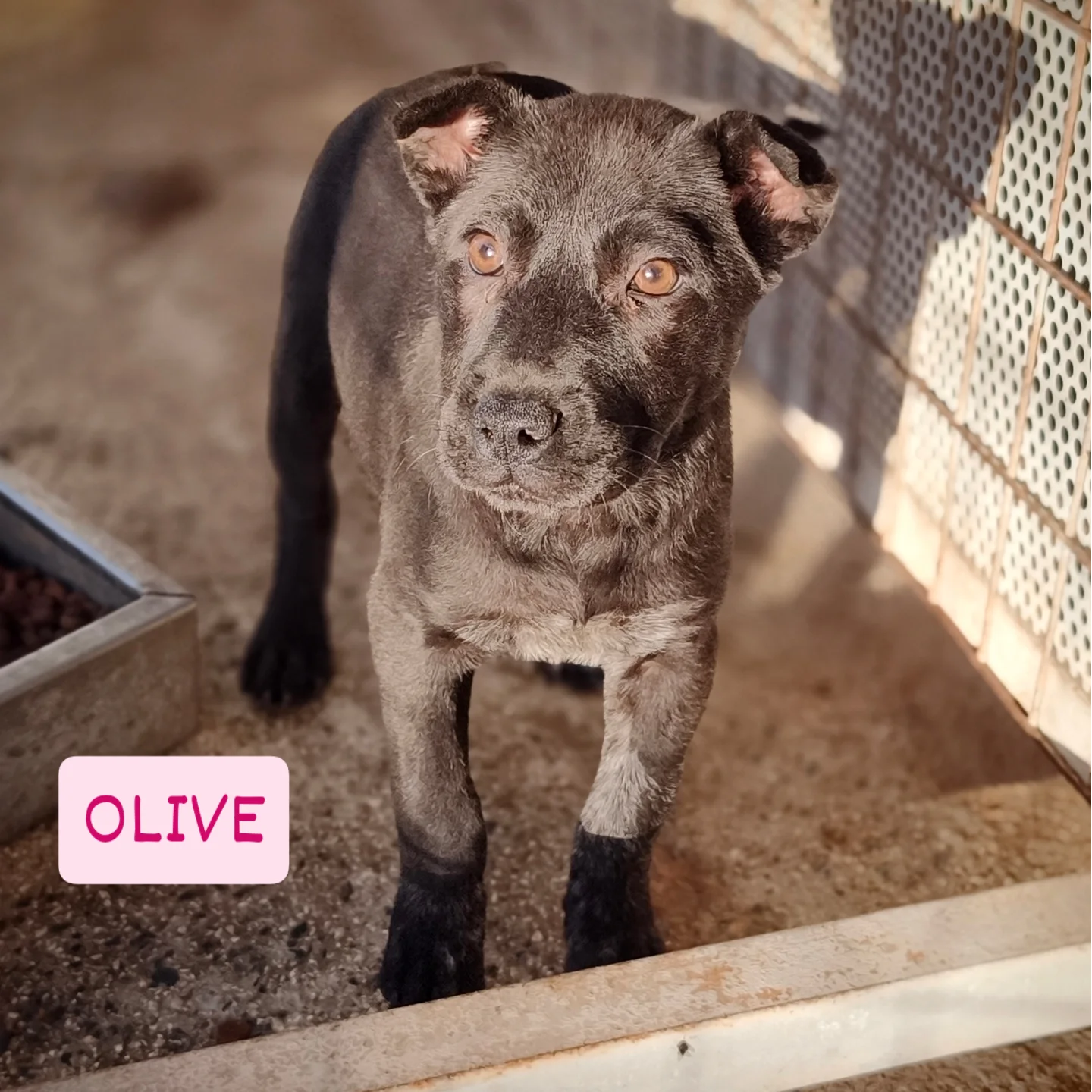 IMG_20251214_235809_853