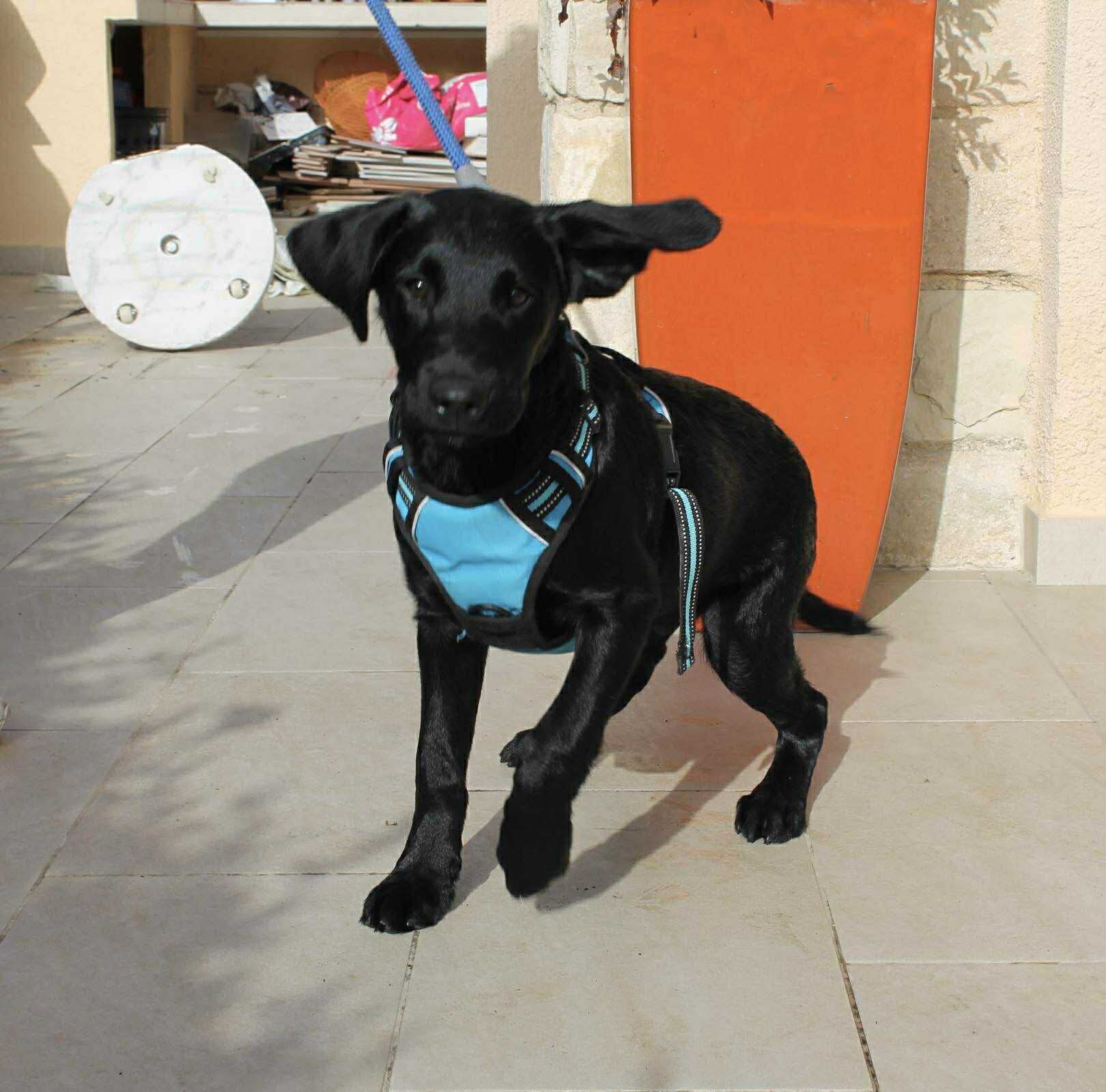 att.0njwNkZv0h1Un8cKIl4kwwceAI7G3NTtbidkT0Mm8cI