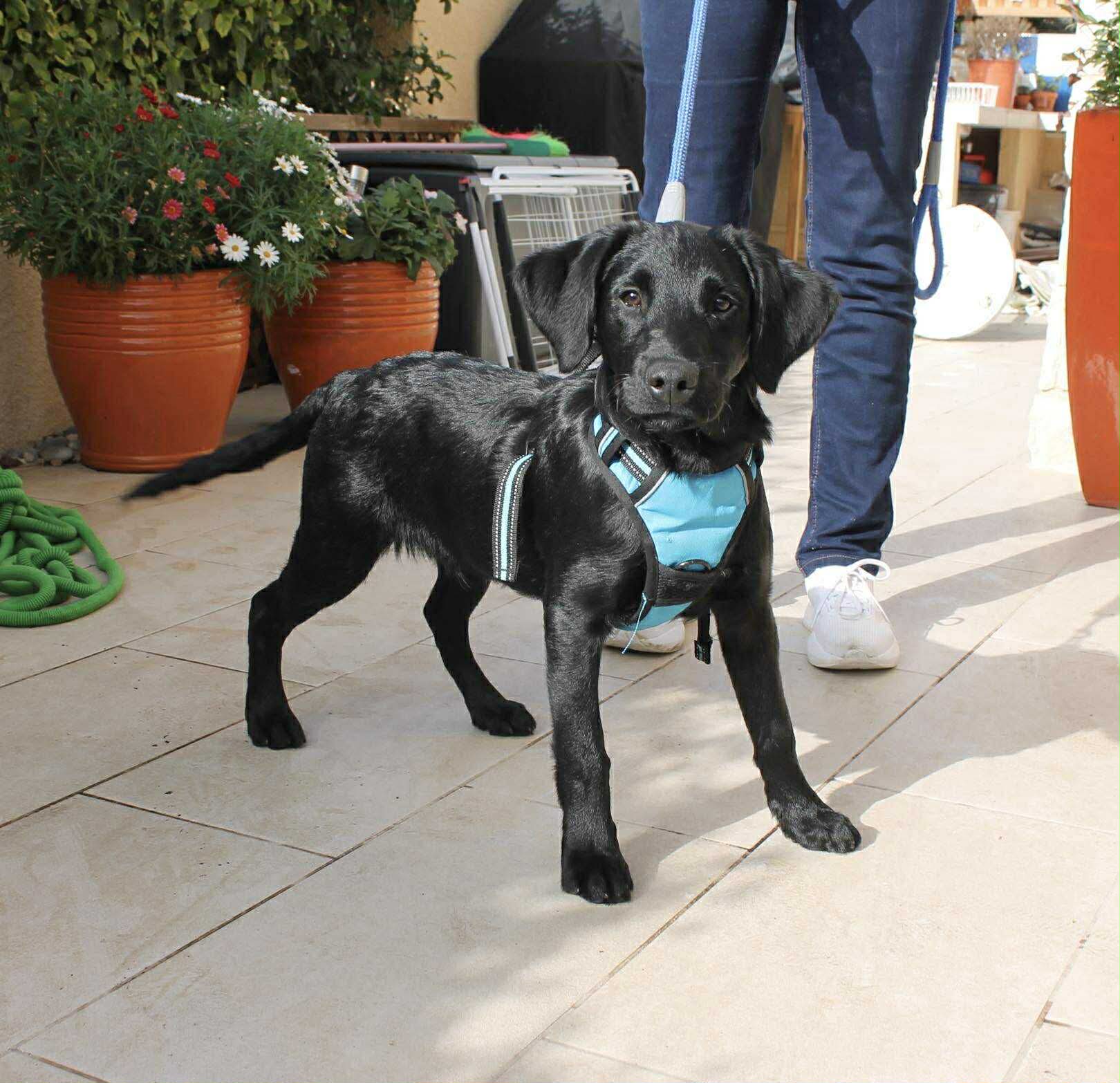 att.7Iy8uoB4fJYcnrdYae_Gc9f_0gRlq3igC20PSwsAqLU