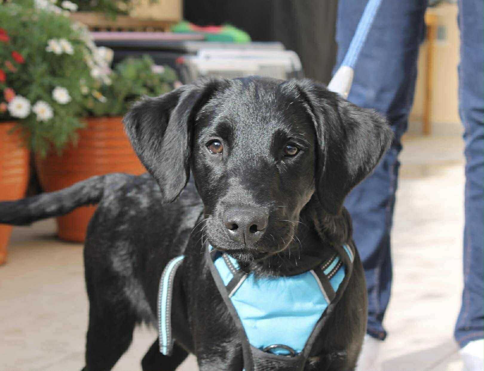 att.HjfL229HqVfOSpGgouvKNtlTZ-AQ8FIydTiAGRFbEe4