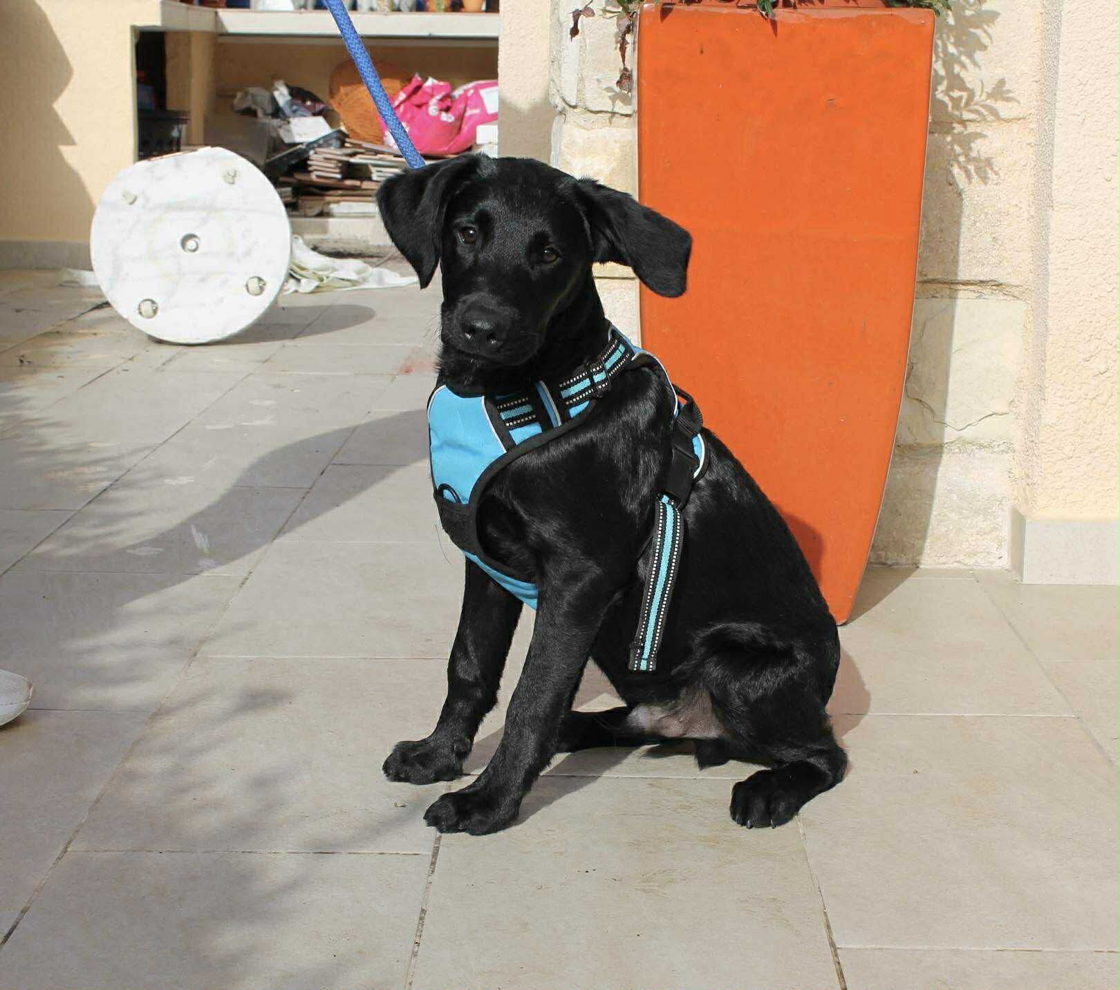 att.x0kS5NY5J4-XJTkelpeVwVoGdiL19a79uH_N3TIgivA