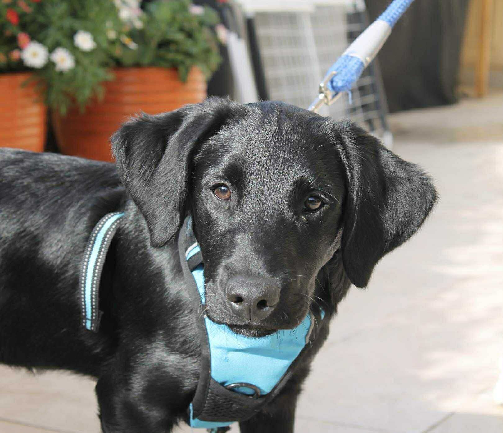 att.xcHvL2MToGPg3p-DrHA4Xl46kunNJMpidZleQWYazQ0