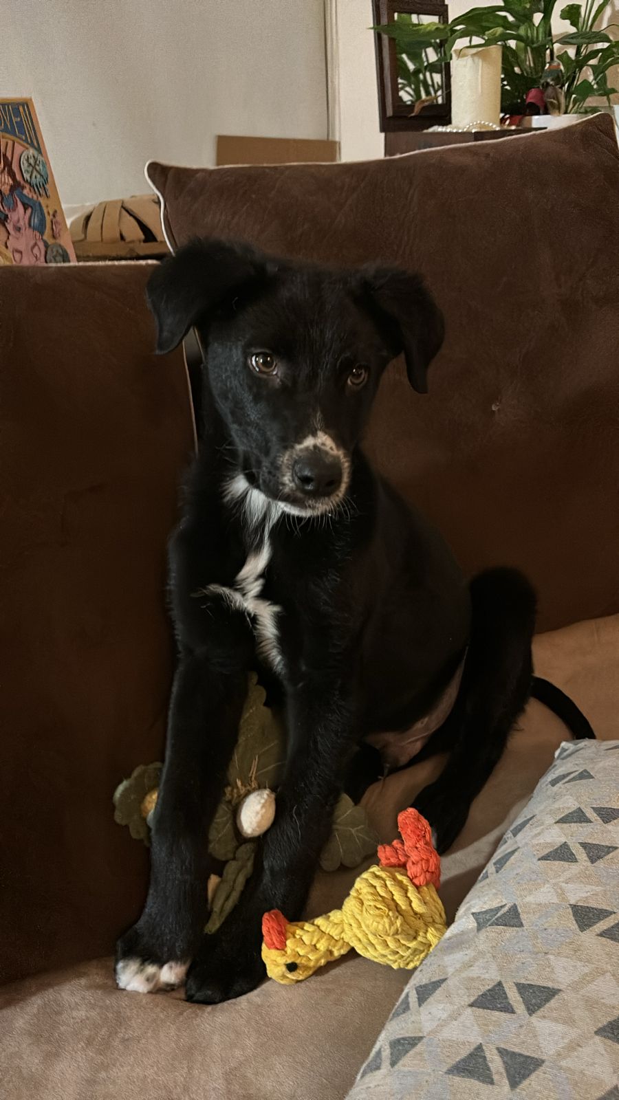 b12bda6d-cf9e-4168-84e3-aa6b5a0fdc8b