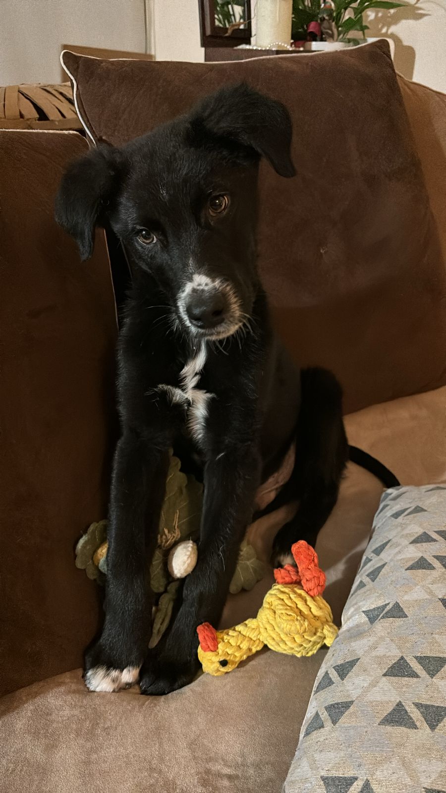 de19af89-2633-494c-a7a4-048f158c7a8c