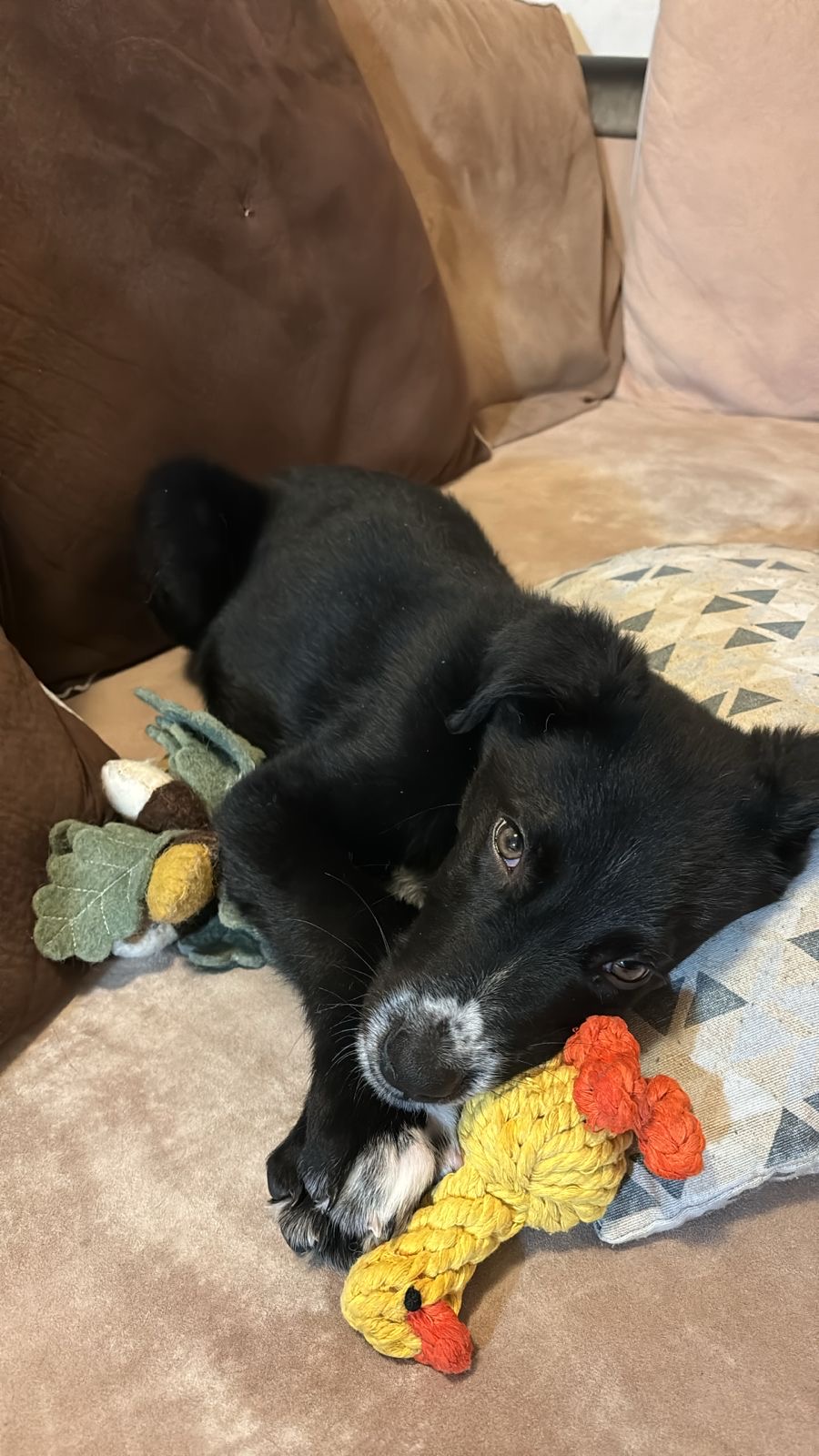 f871639d-3a48-4232-b621-d2b072dad68d