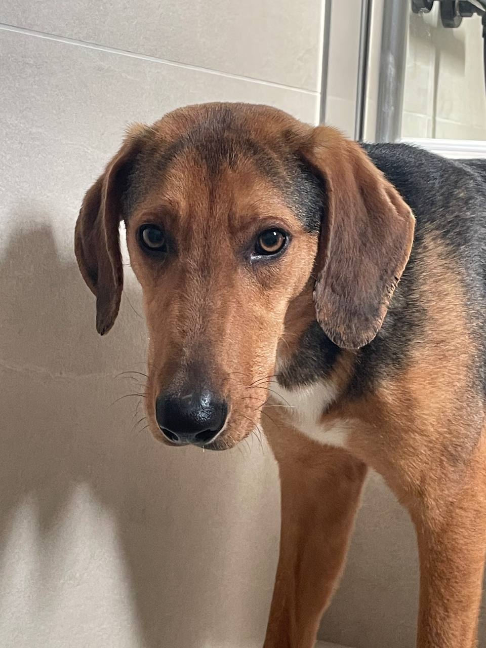 photo_2026-01-15_12-47-15