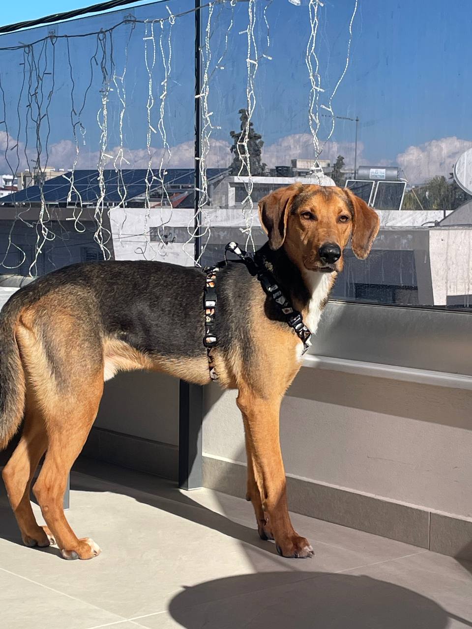 photo_2026-01-16_15-21-16