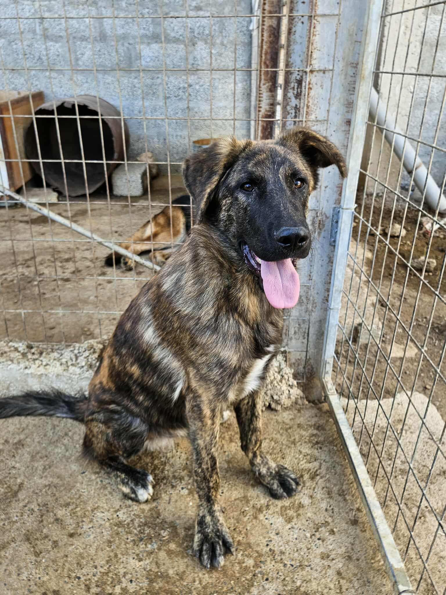 received_1123777333244822