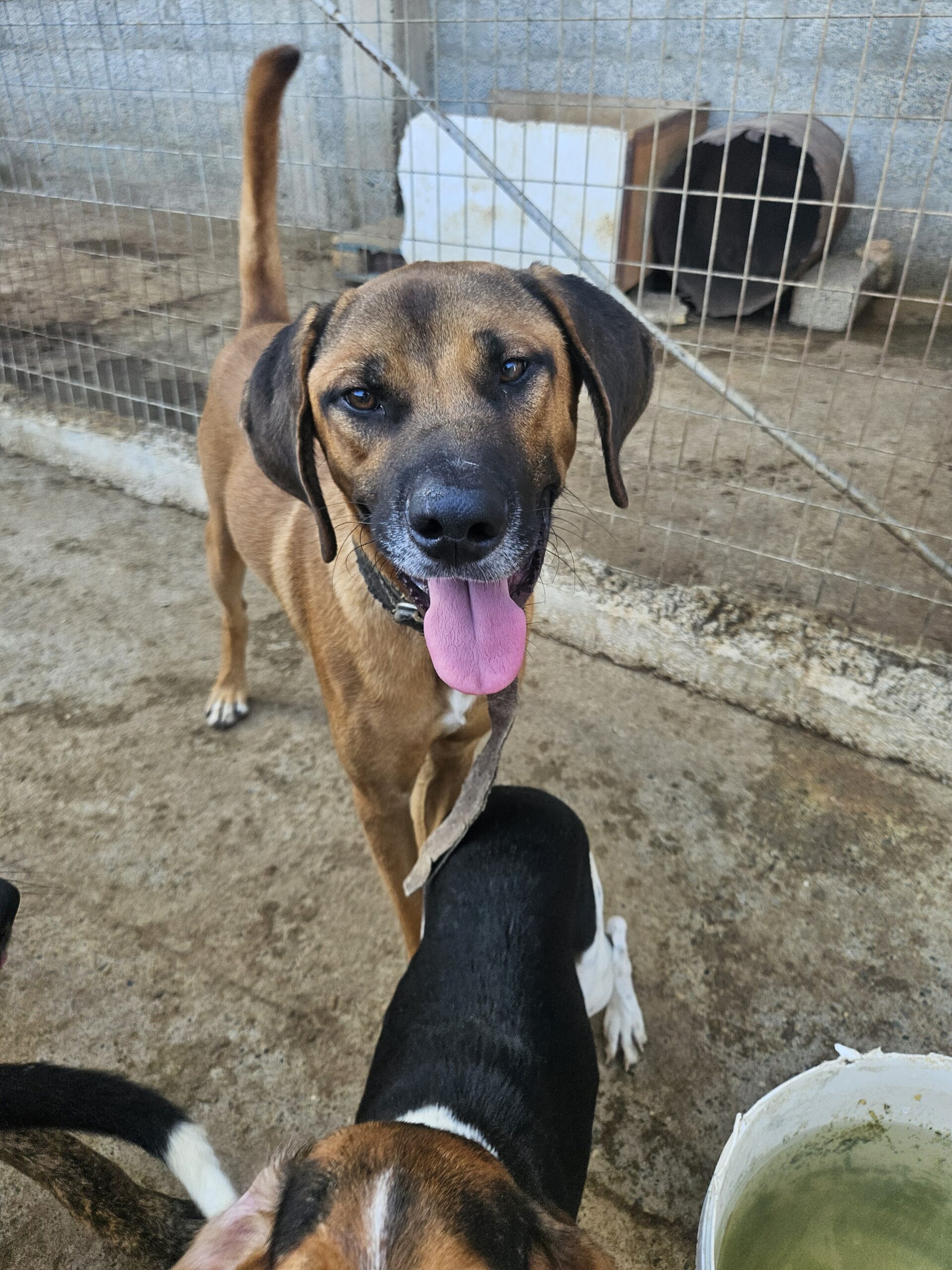 received_1334227348337669