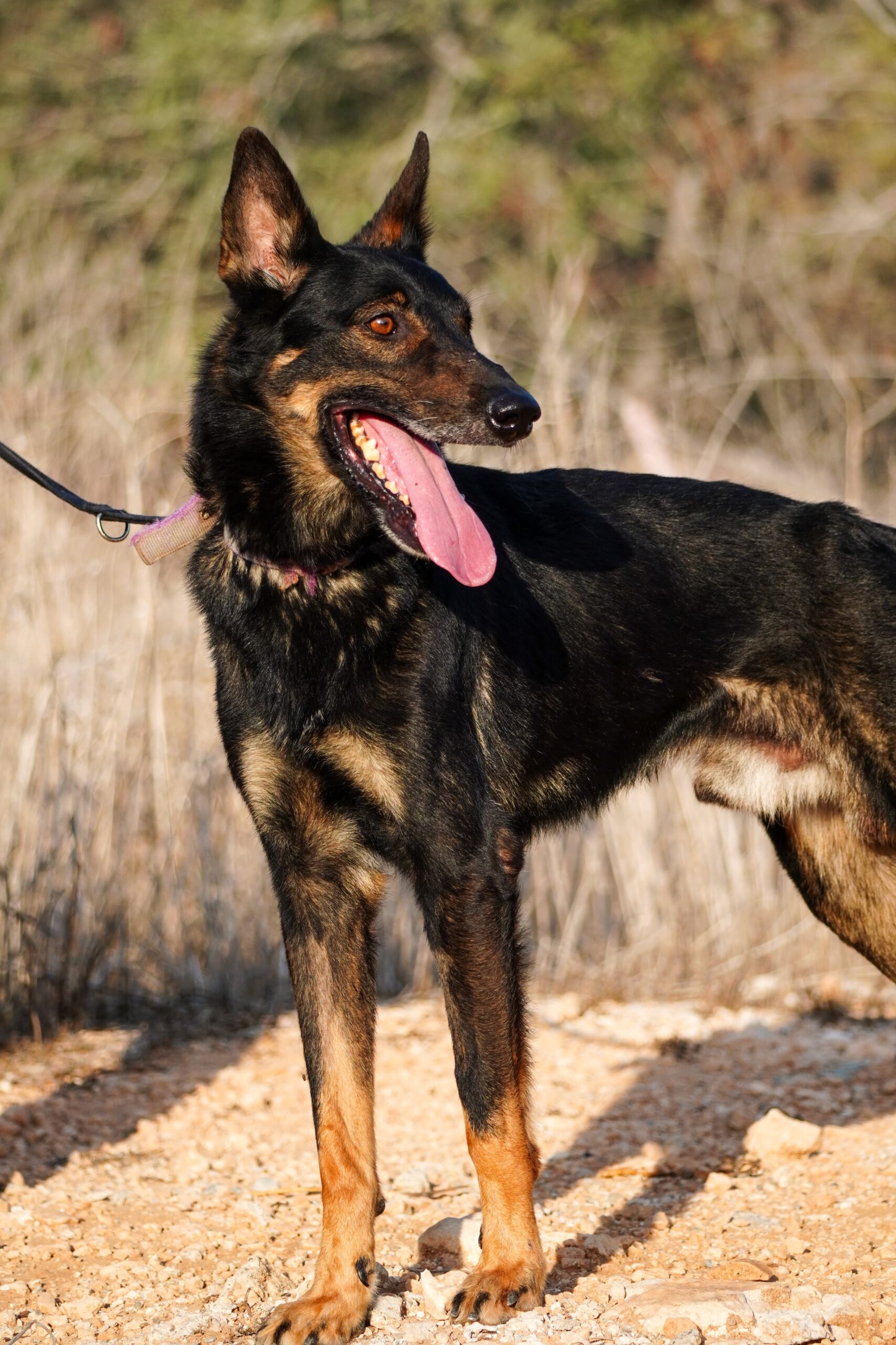 received_1373899530814178