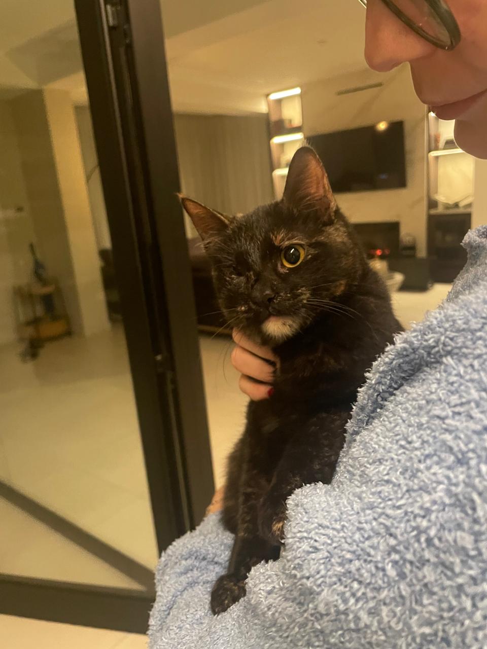 received_1386771522954138