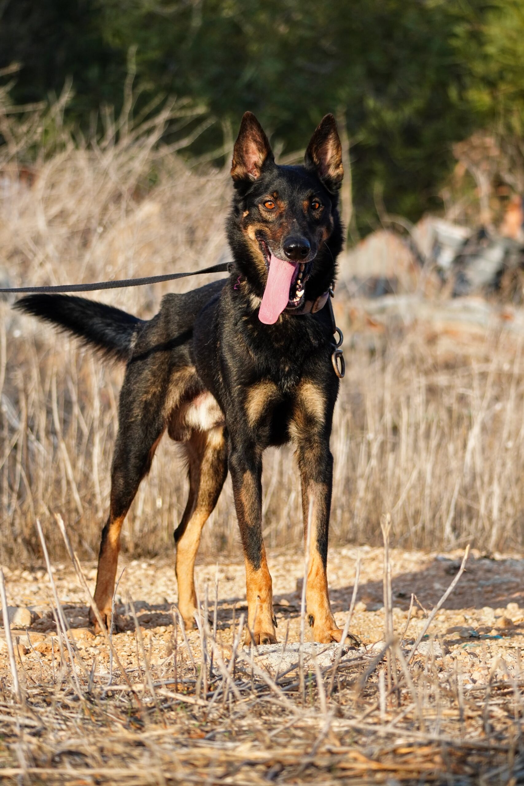 received_1428842448886648