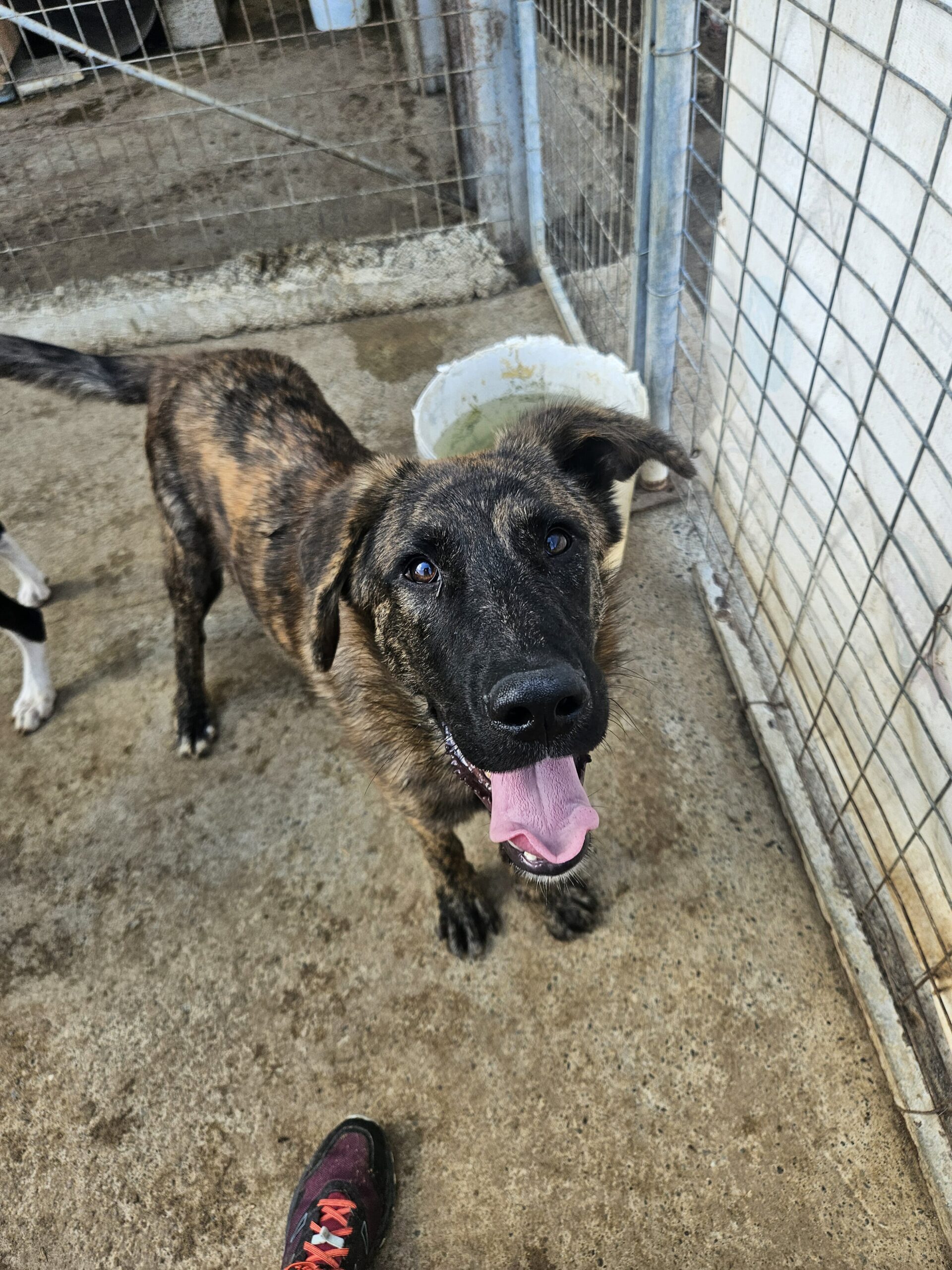 received_1522042885481518