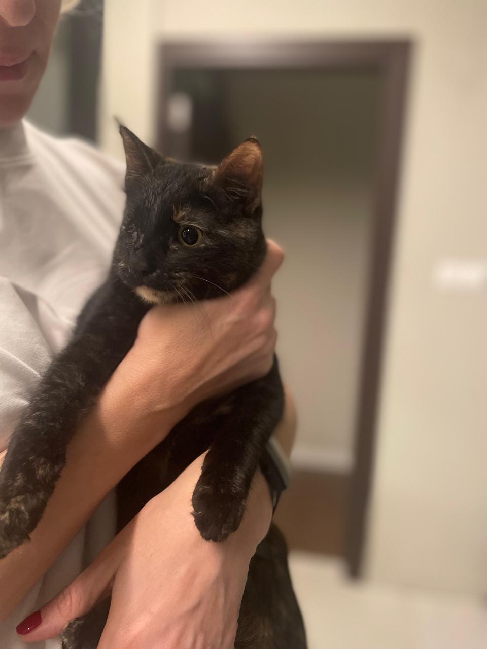 received_1597982064673628