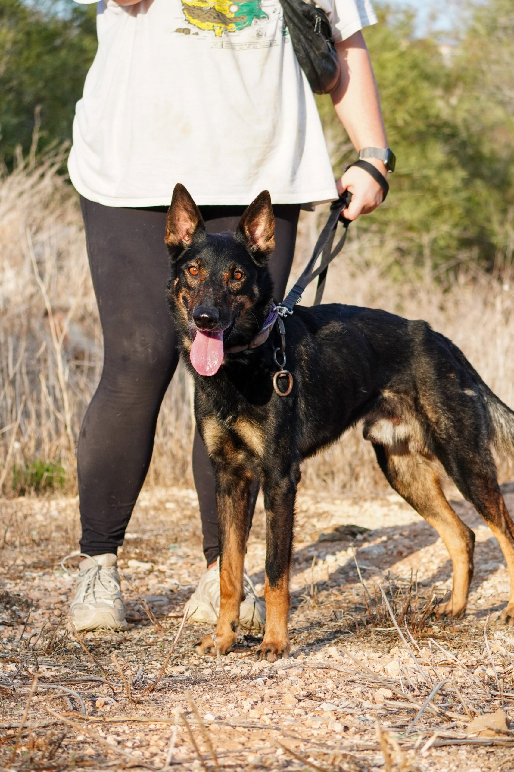 received_2724840617896333