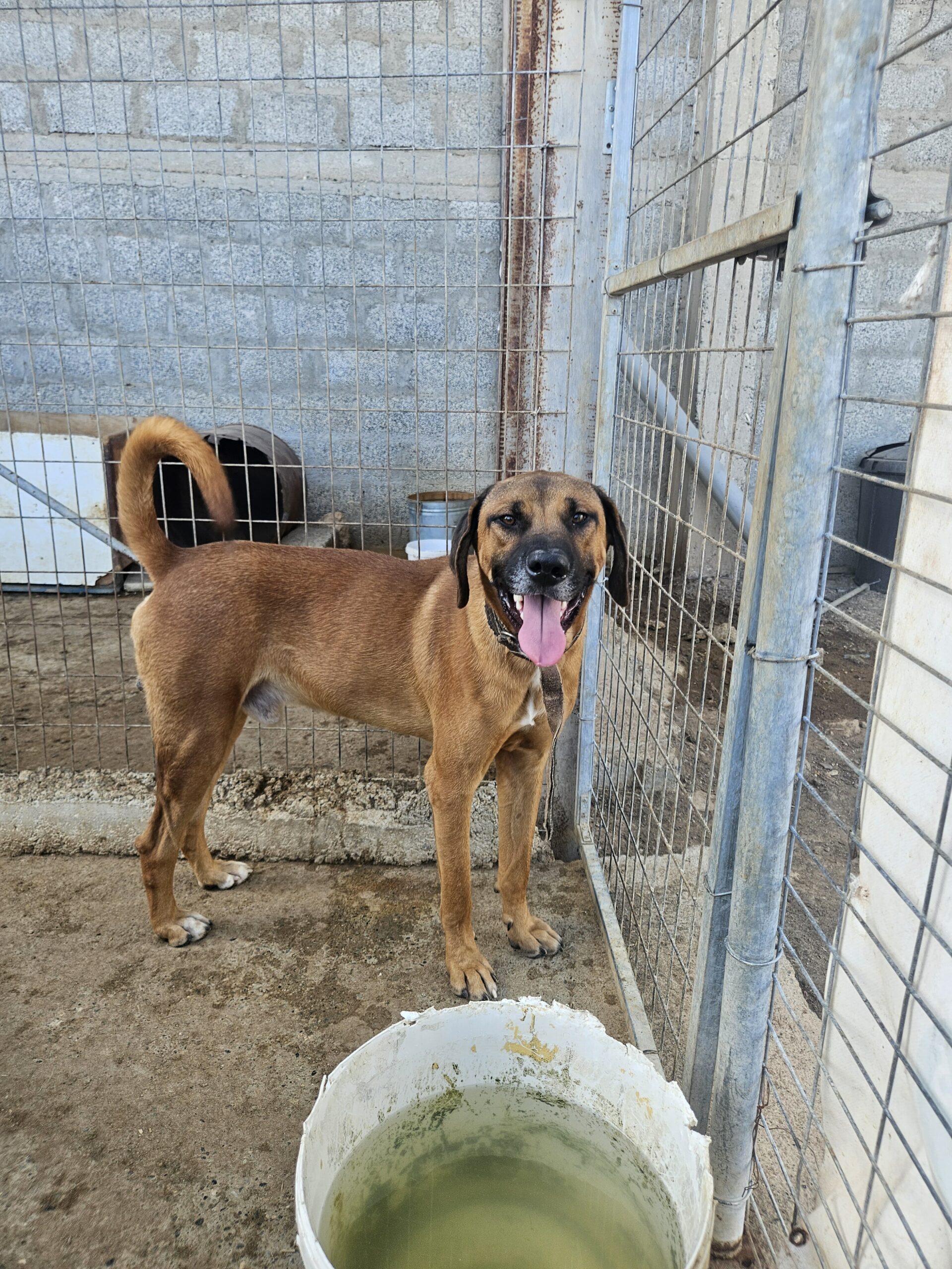 received_3213321785506737