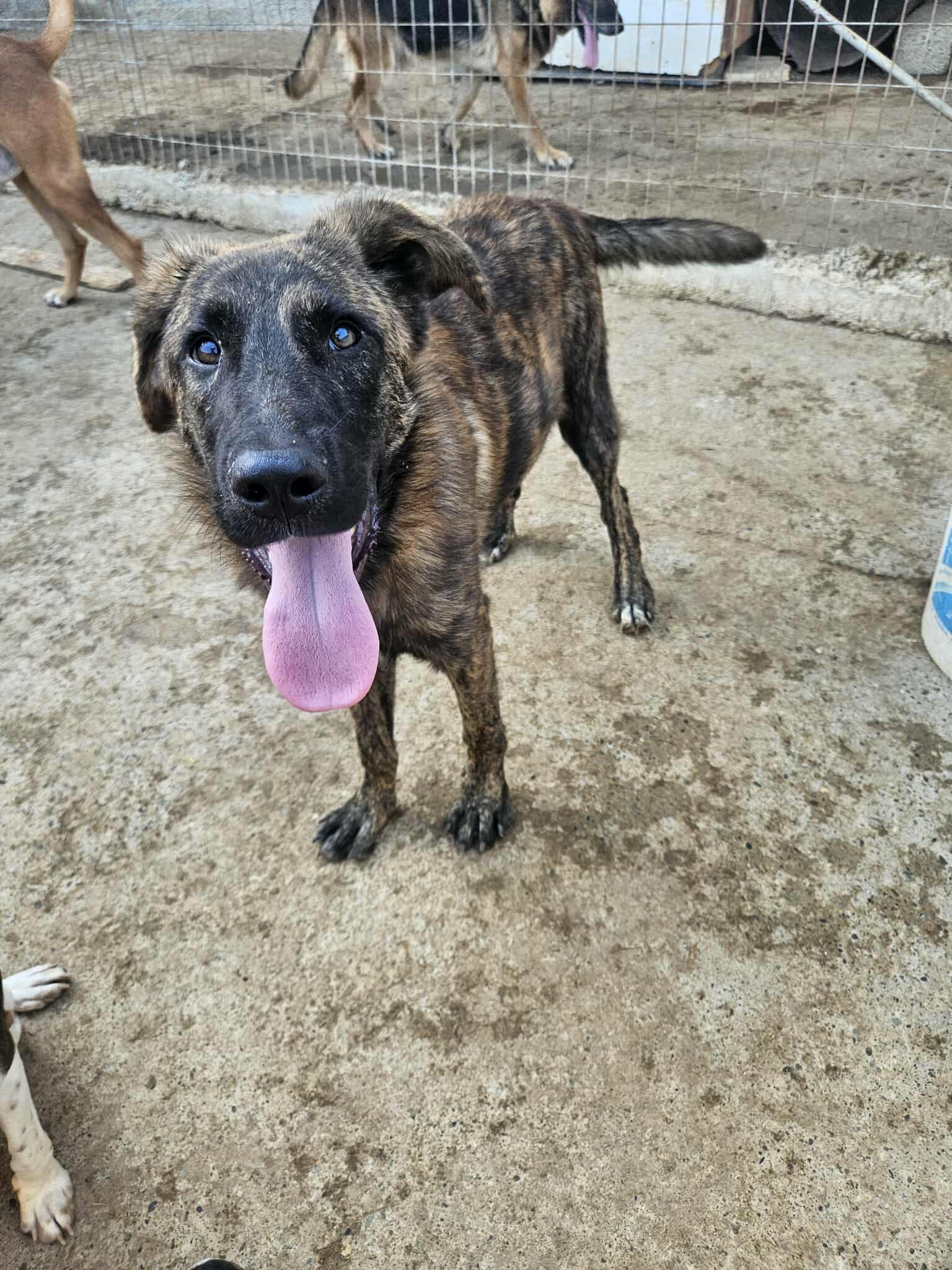 received_3236733429809398