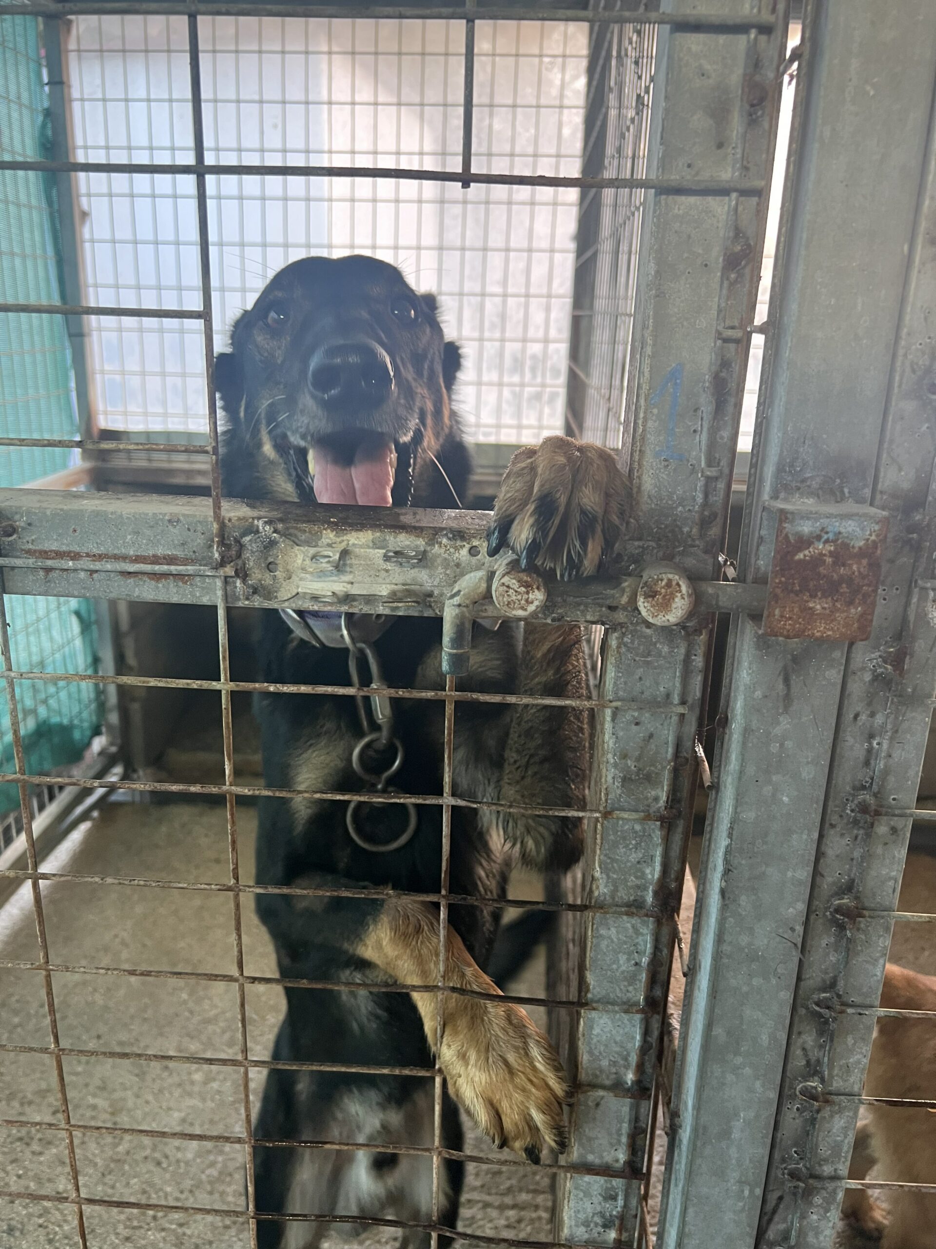 received_770756215395679