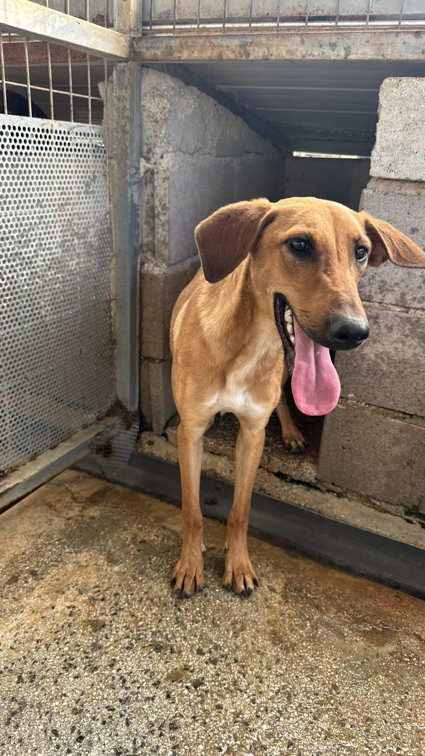 received_803051982712389