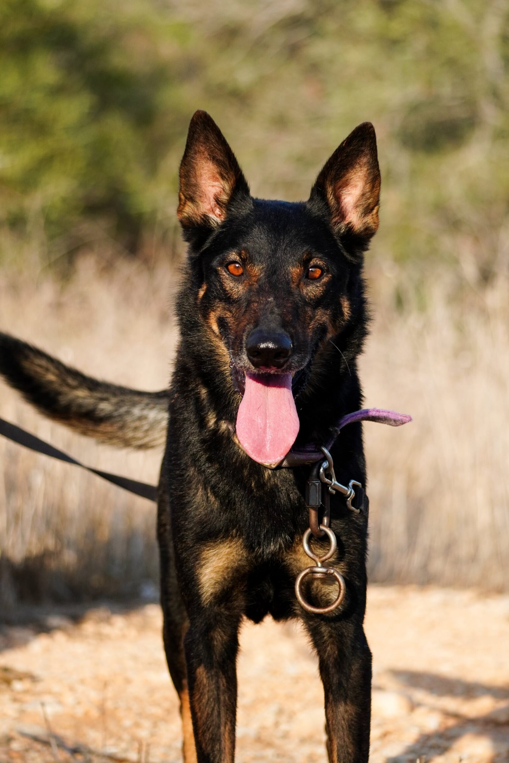 received_825785787115917