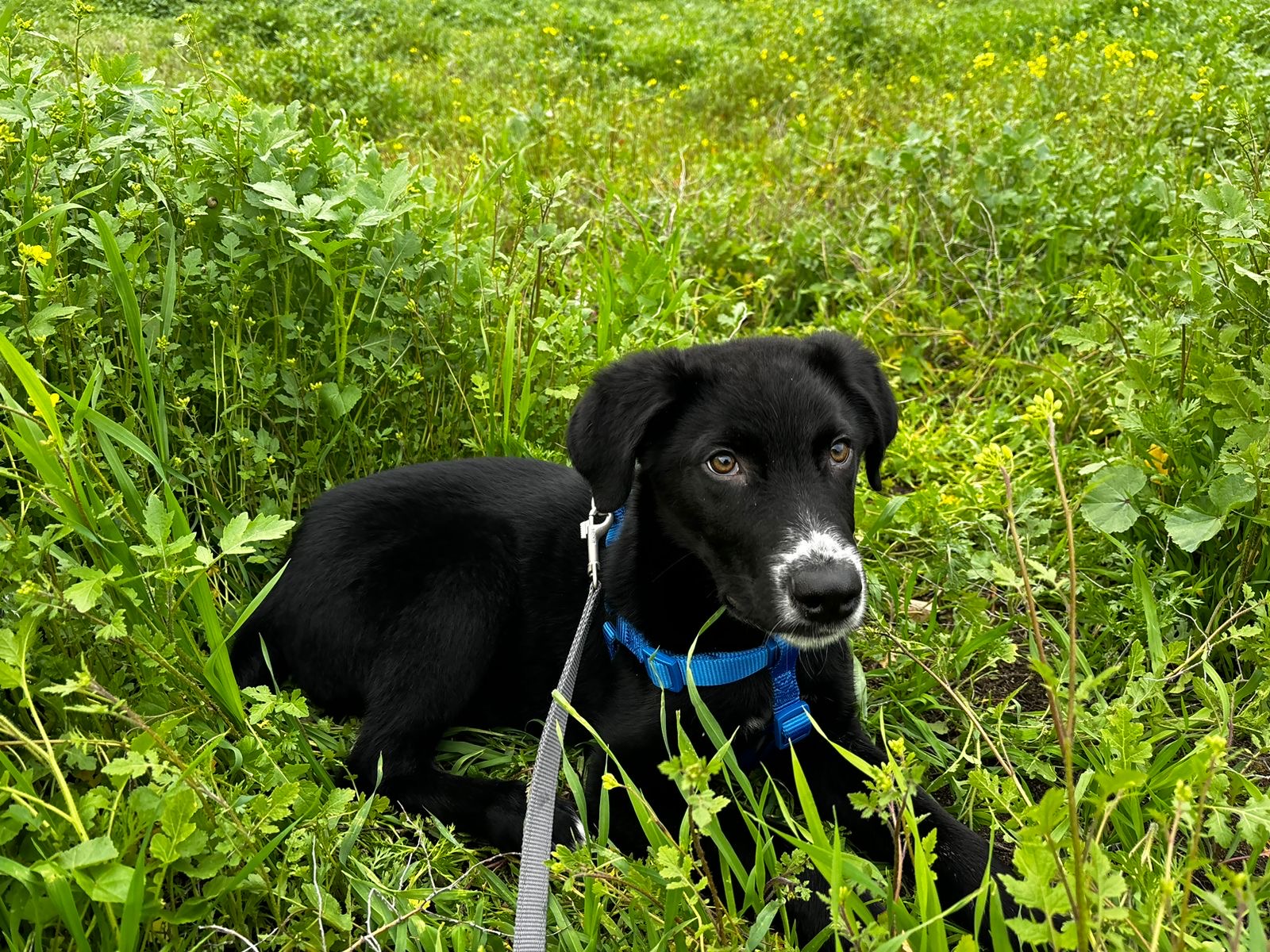 1726c2b2-c969-45a9-99eb-c4e7b344e0da