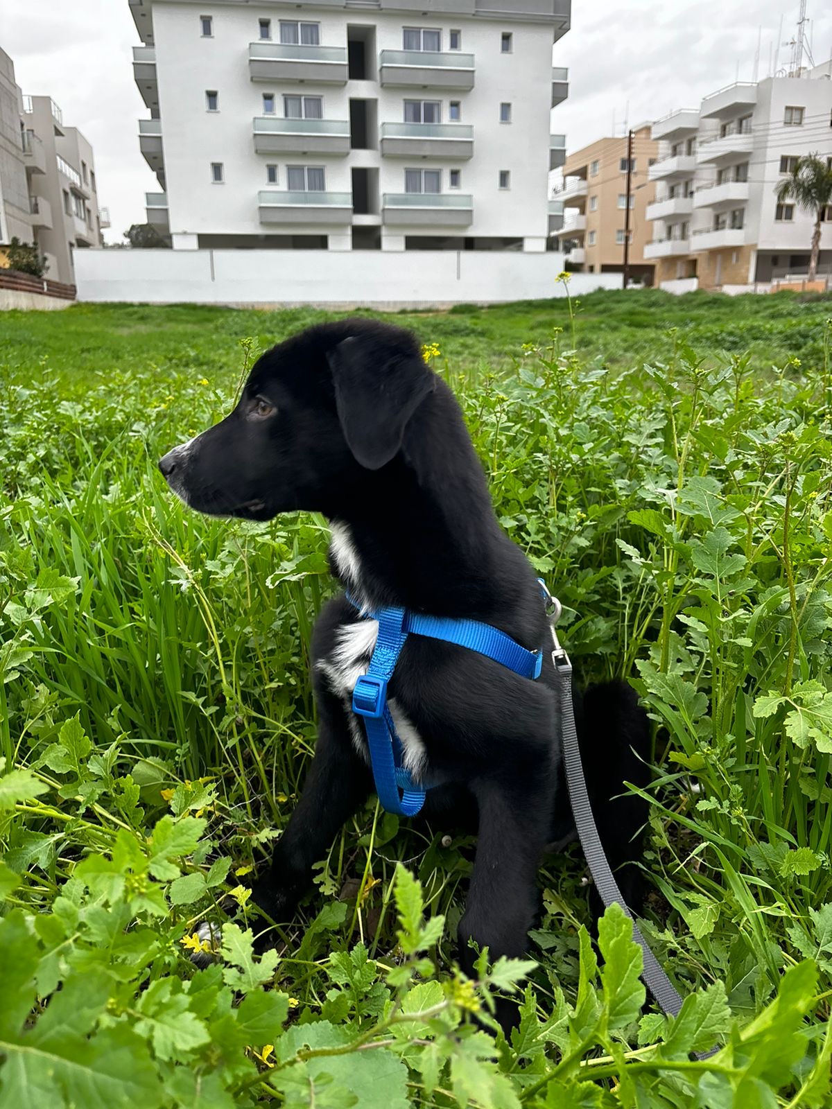 211d45f6-697c-4f83-863b-8a24e8020c75