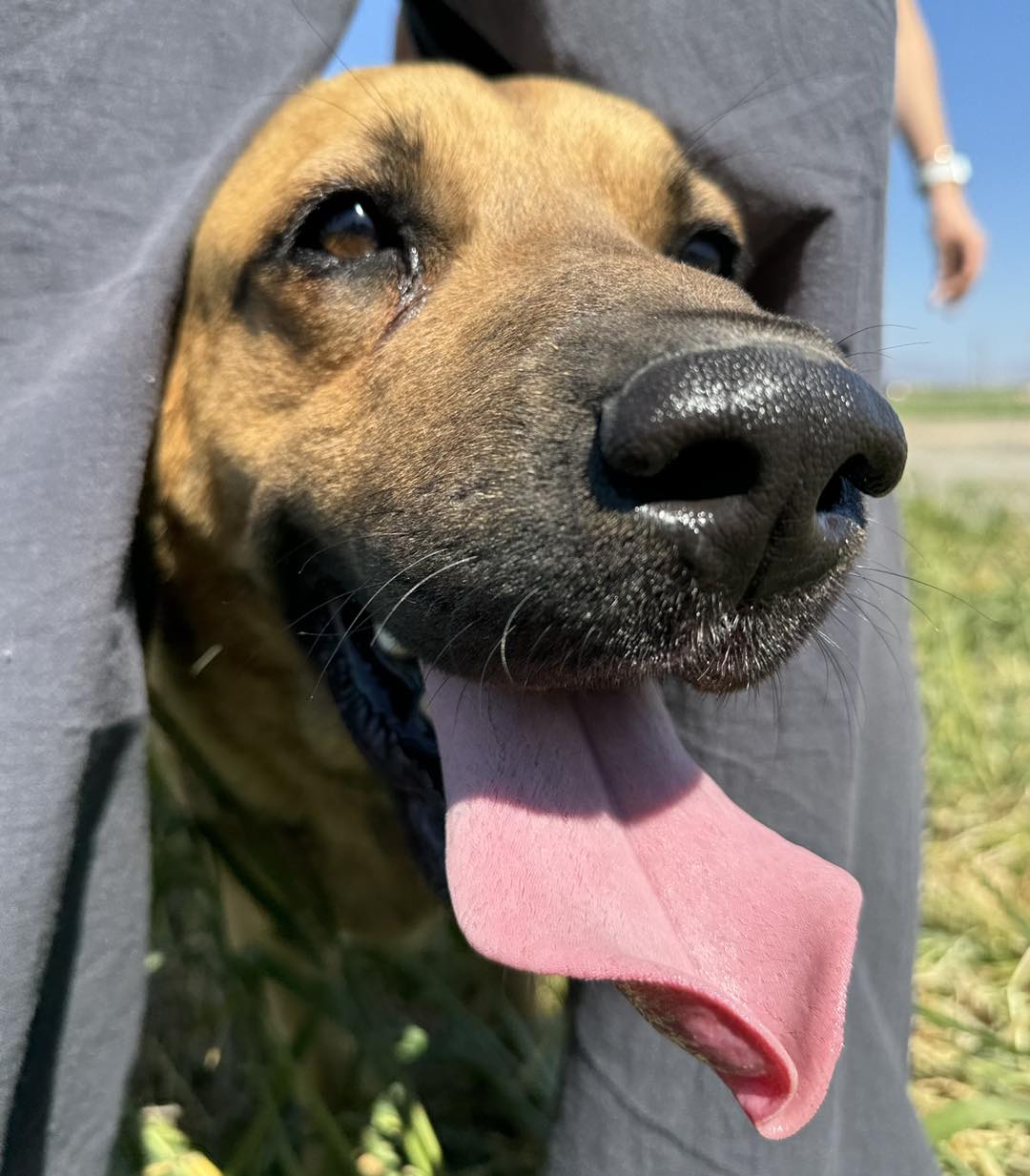 494427157_693703656506148_7534423754982038450_n