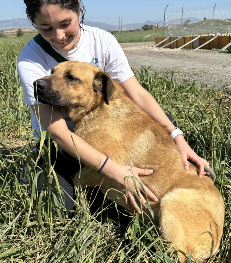 494589925_693703659839481_6488751912567971802_n