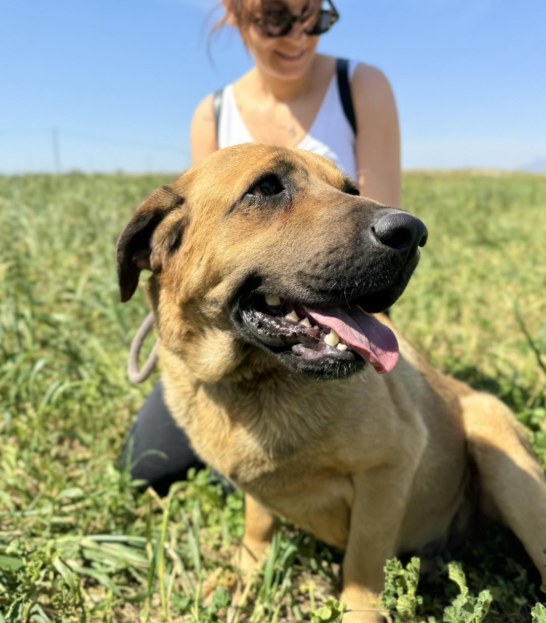 495382437_693703676506146_1059698488123629198_n