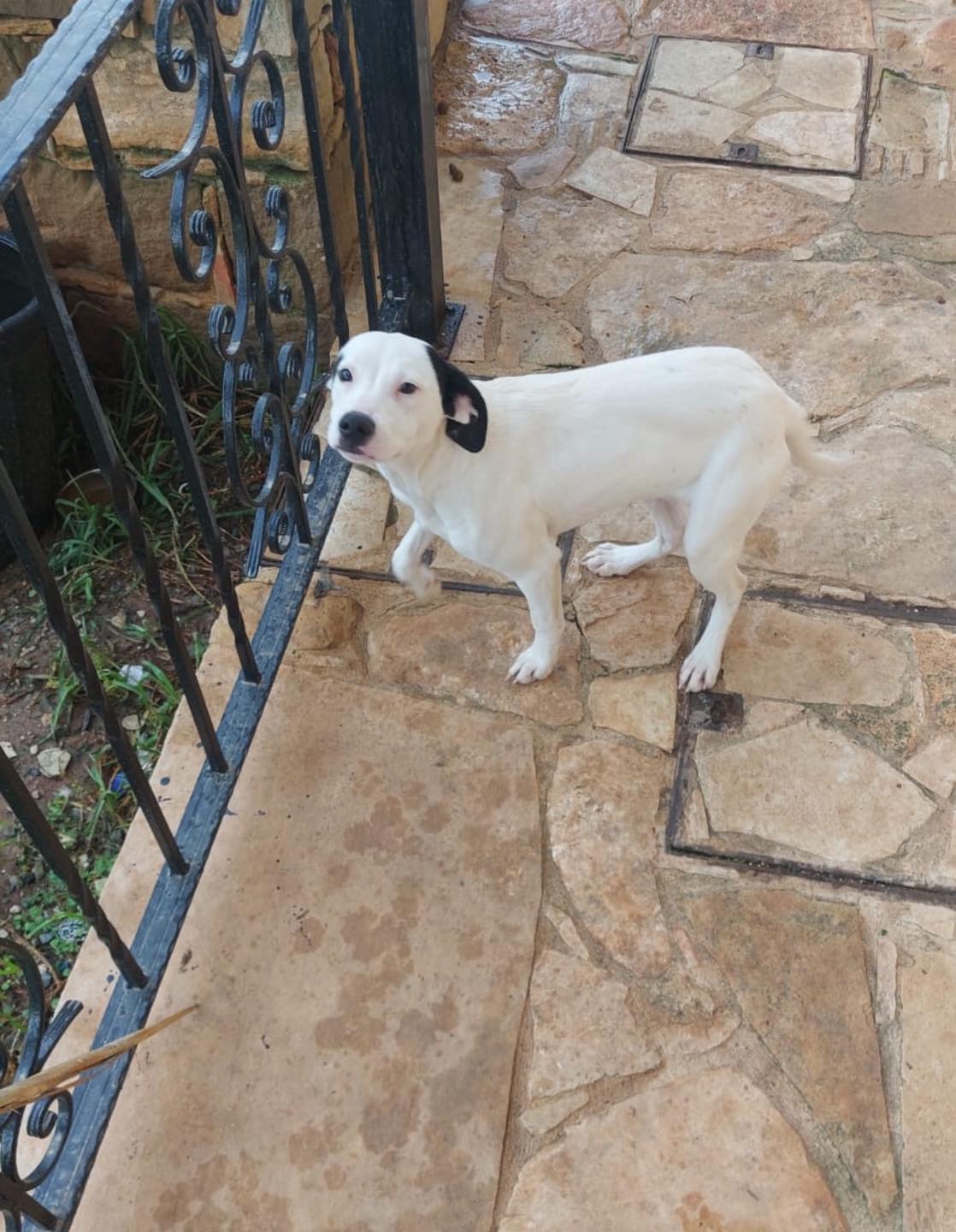 622248099_122169596864771468_955103927741360910_n