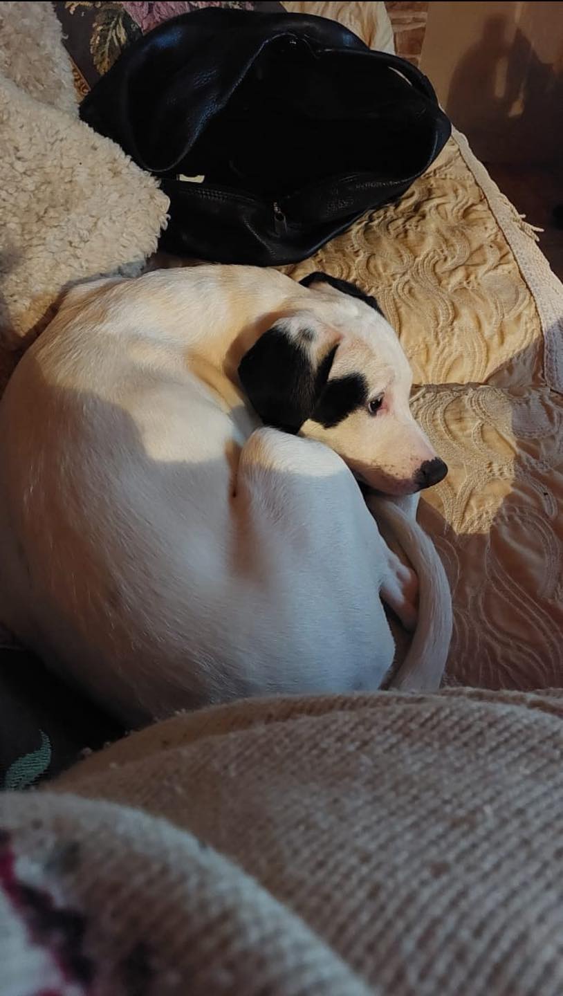 623286483_122169596822771468_6625545250170059335_n